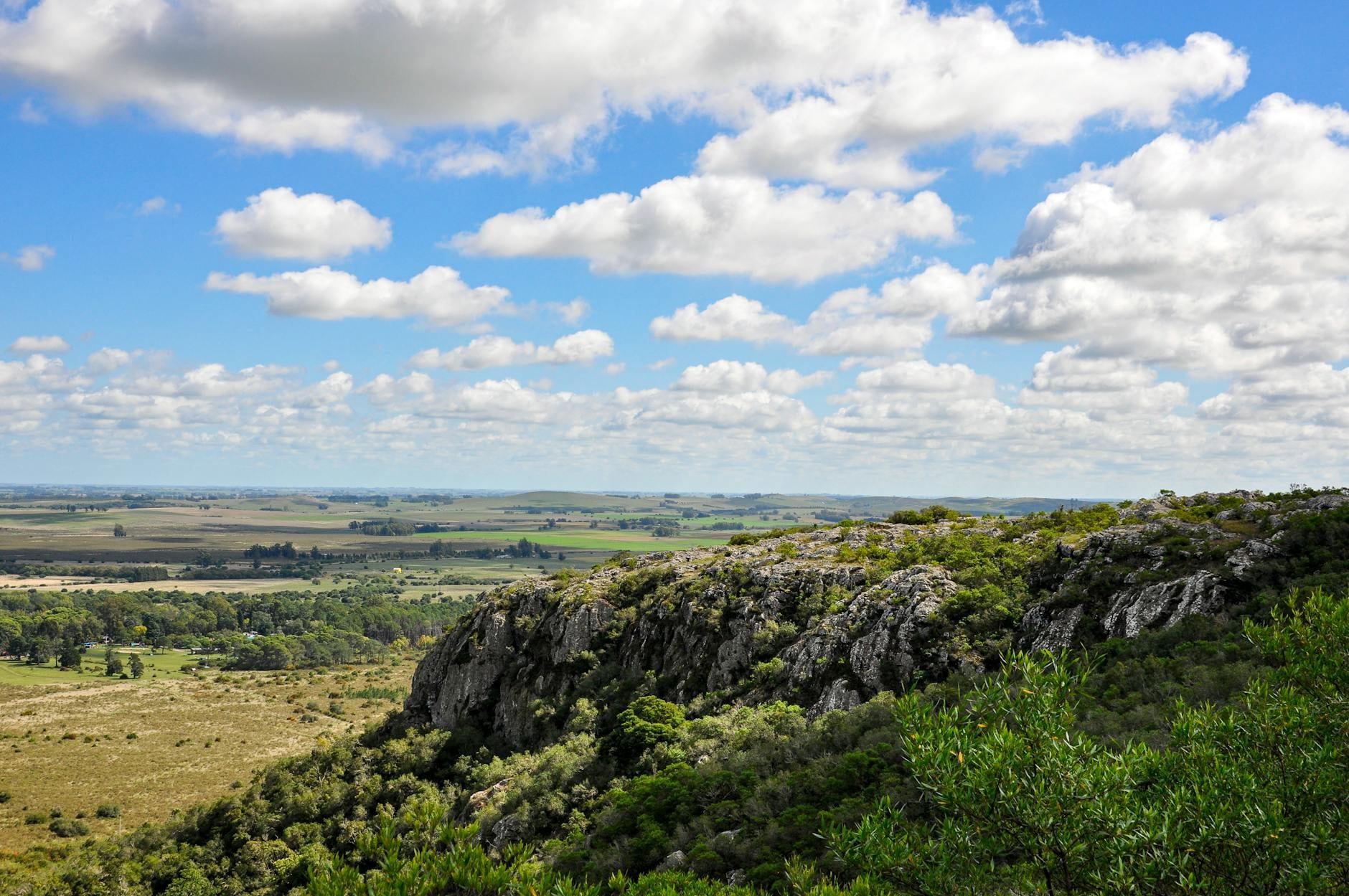 Uruguay landscape
