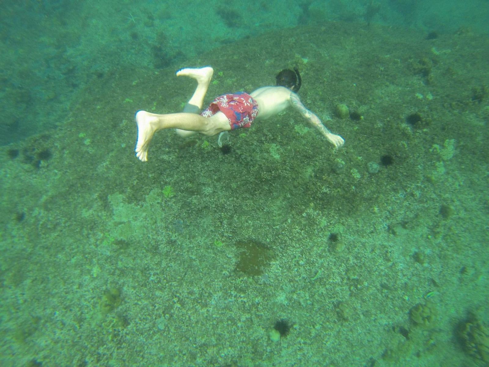 Snorkel Coiba's marine park, Panama