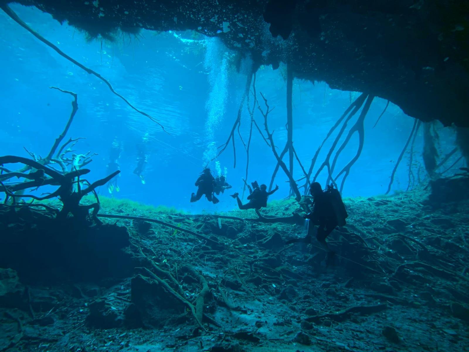 Cenote dive in the Yucatán, Mexico