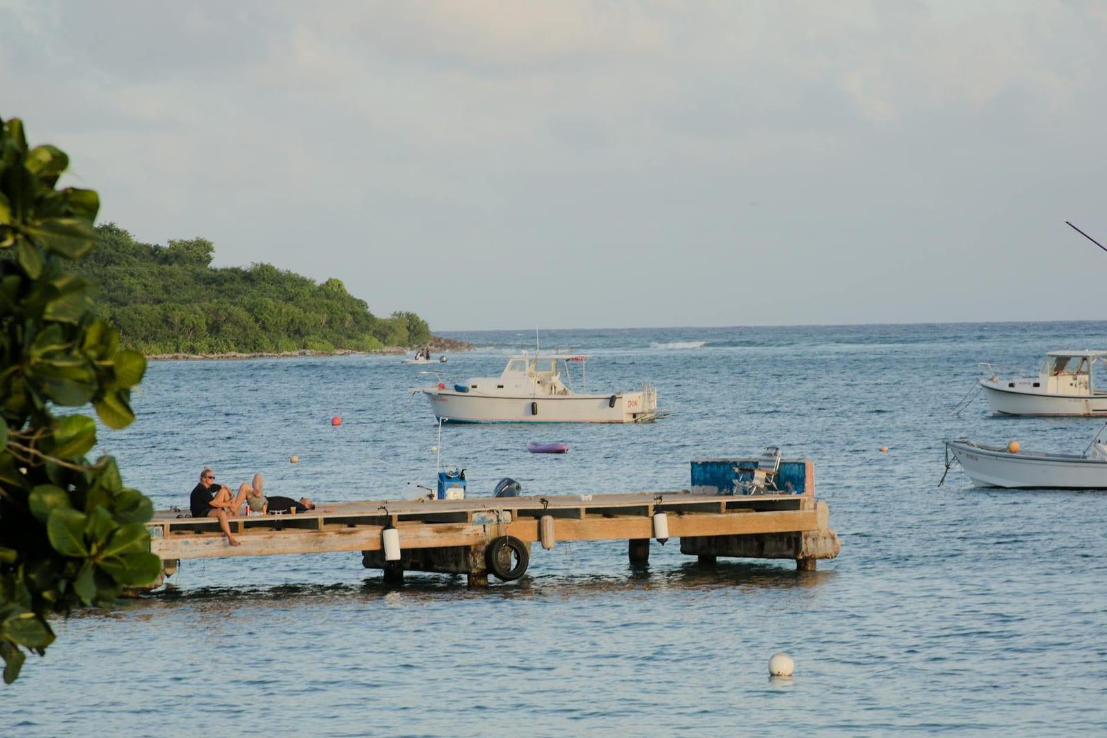 Kayak the Vieques bioluminescent bay, Puerto Rico