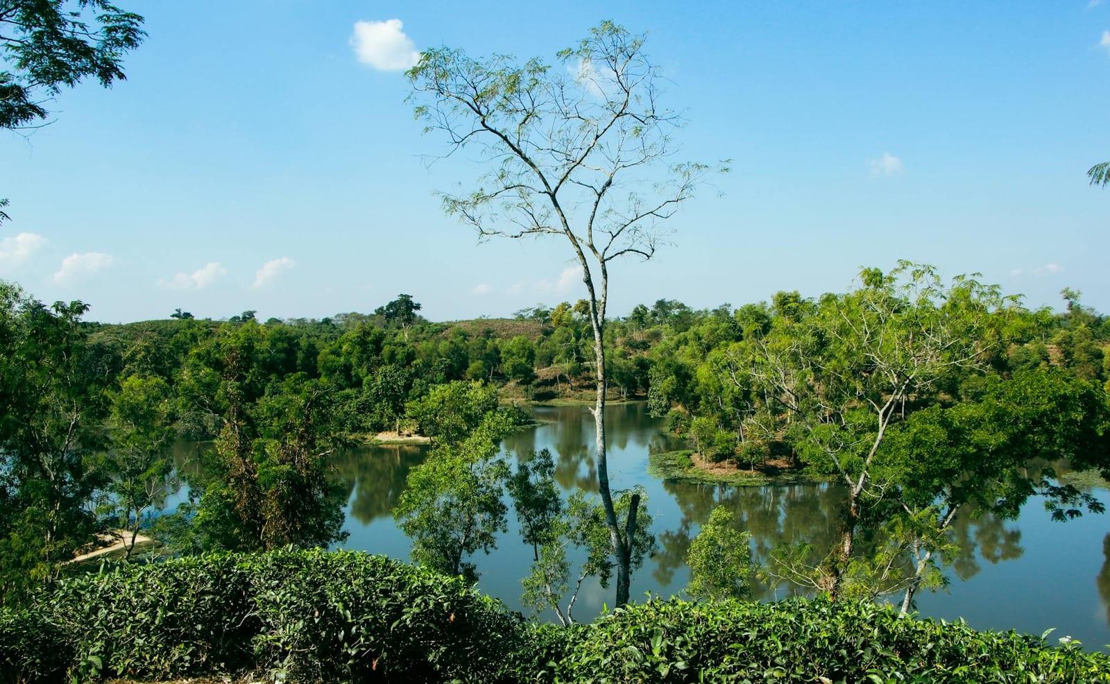Sip tea in Sylhet's hills, Bangladesh