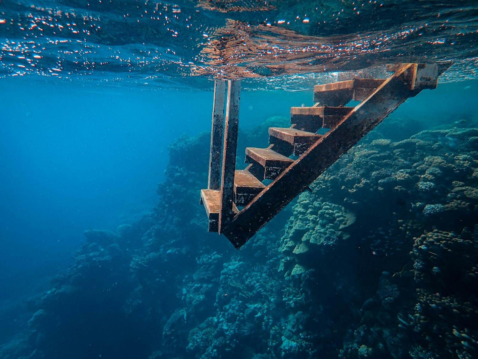 Snorkel the Red Sea coast, Saudi Arabia