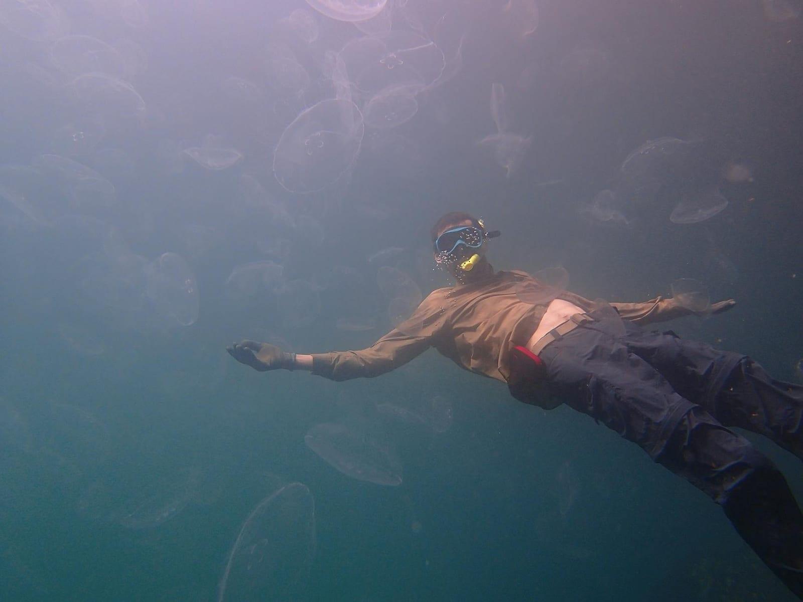 Snorkel Jellyfish Lake, Palau
