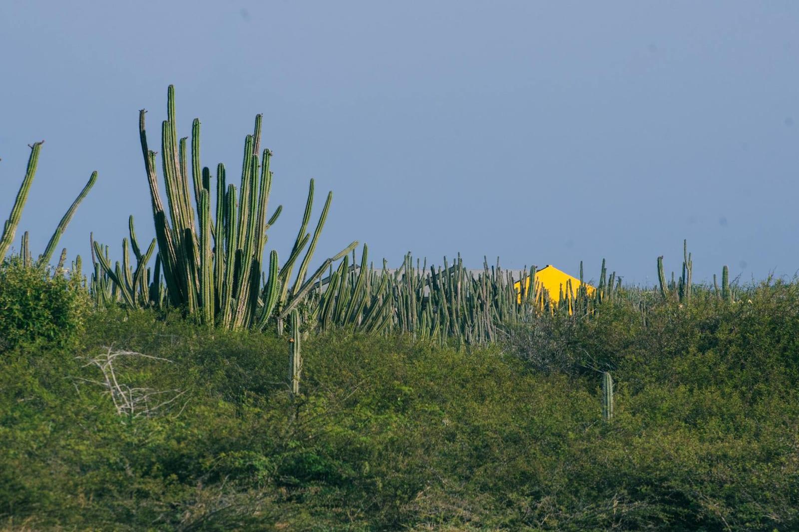 Arikok National Park, Aruba