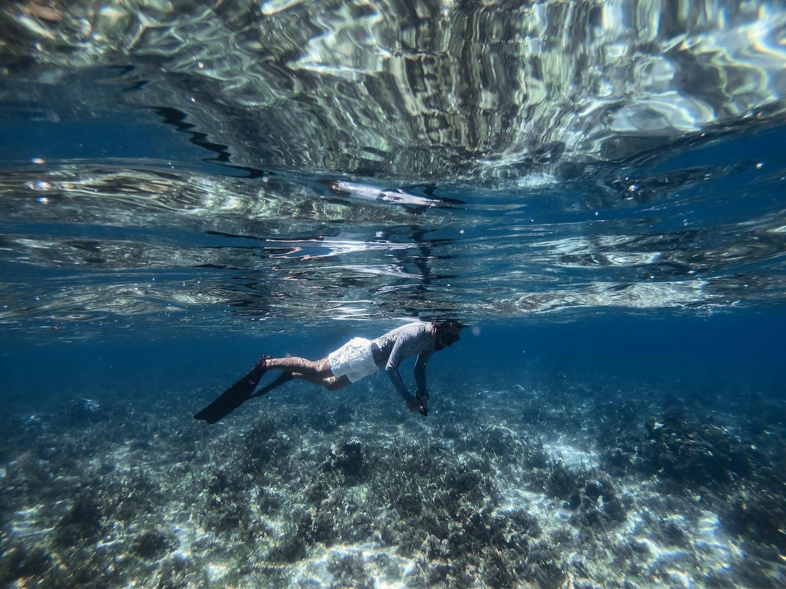 Snorkel Cades Reef, Antigua & Barbuda