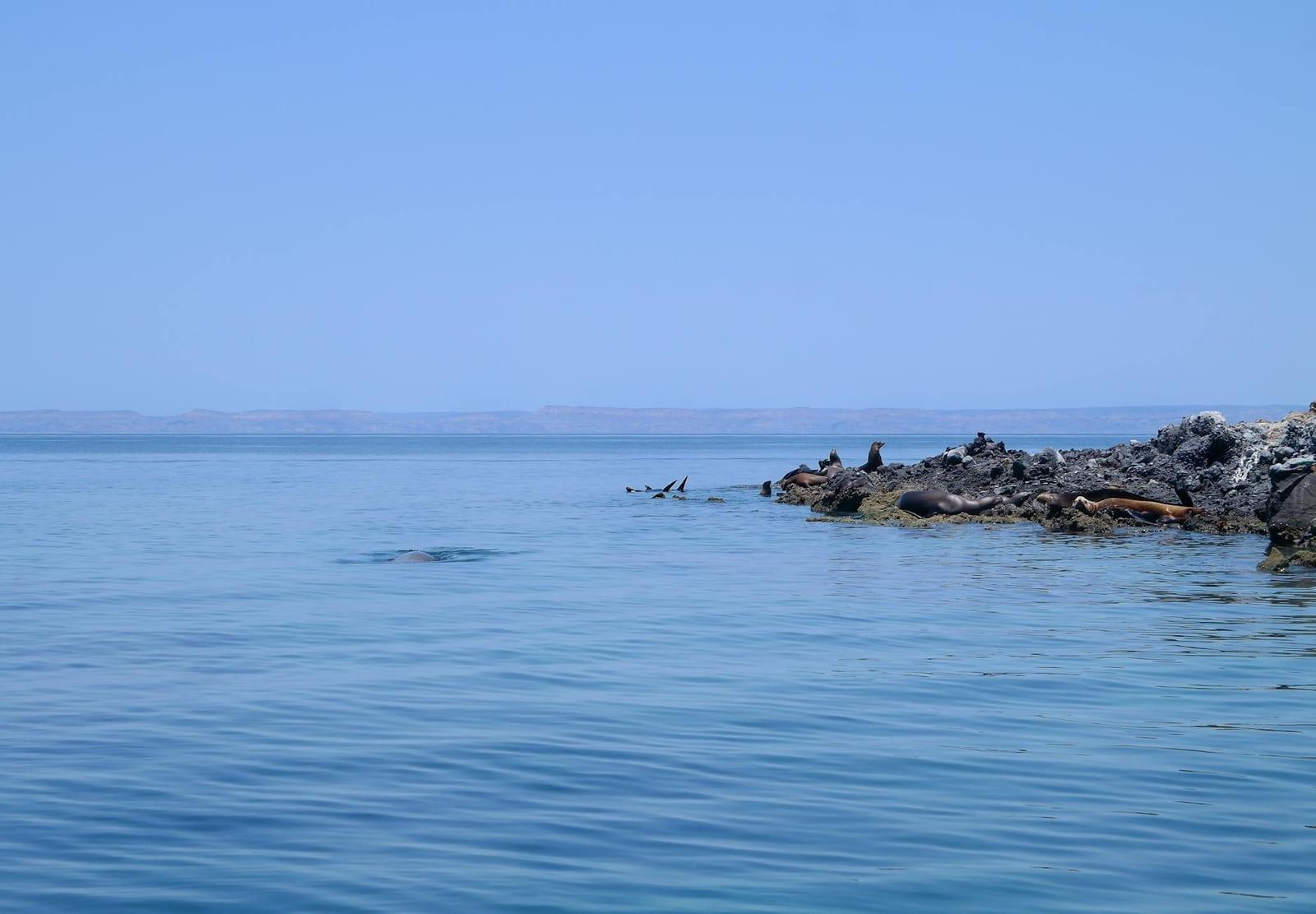 La Ventana, Baja, Mexico