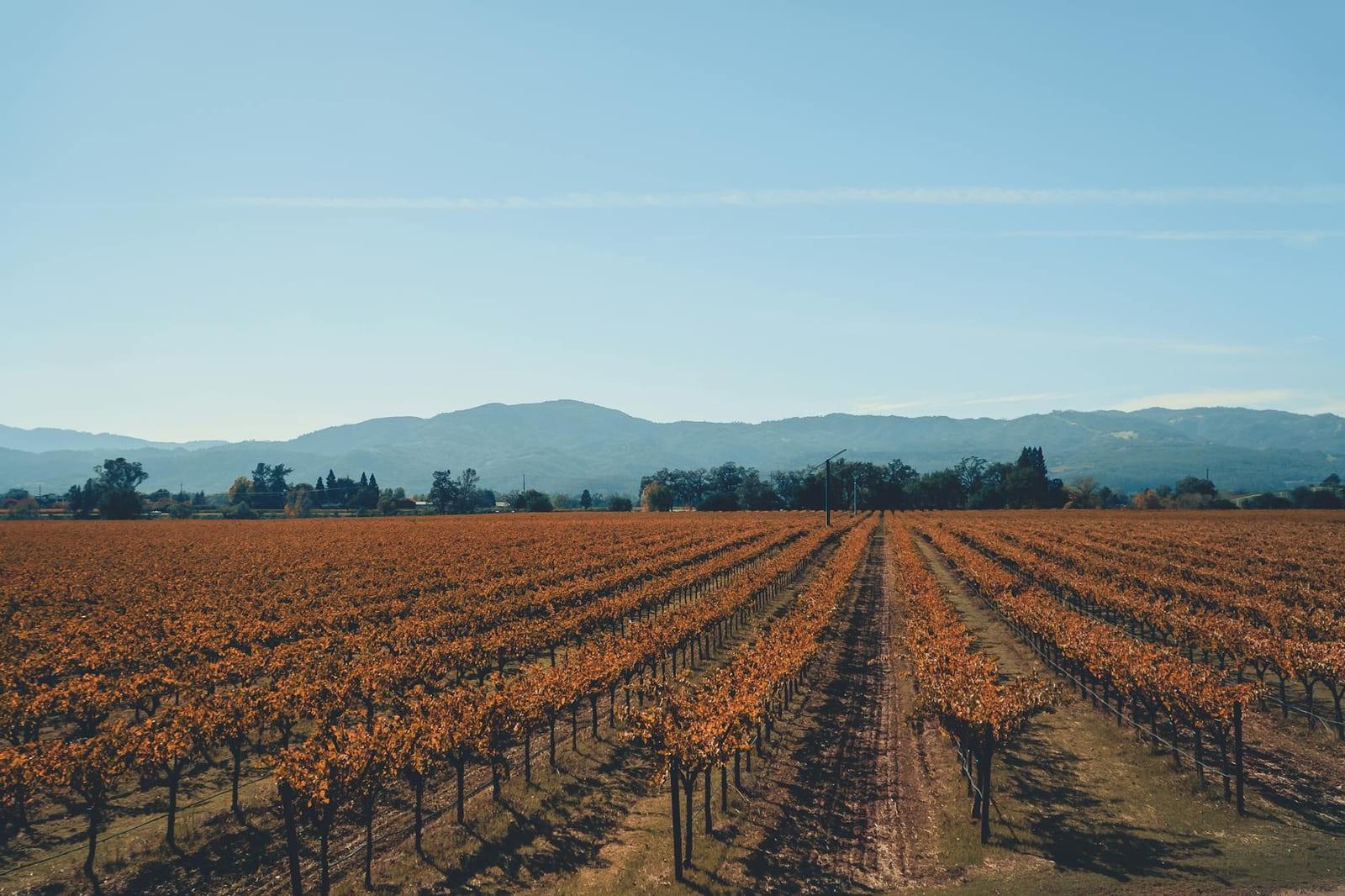 Napa Valley, United States