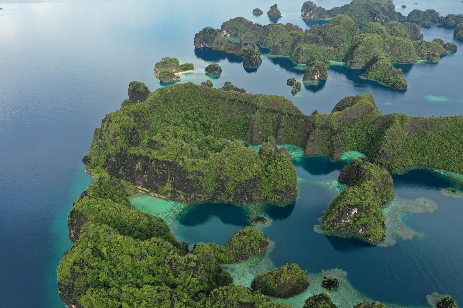 Blue Corner, Palau