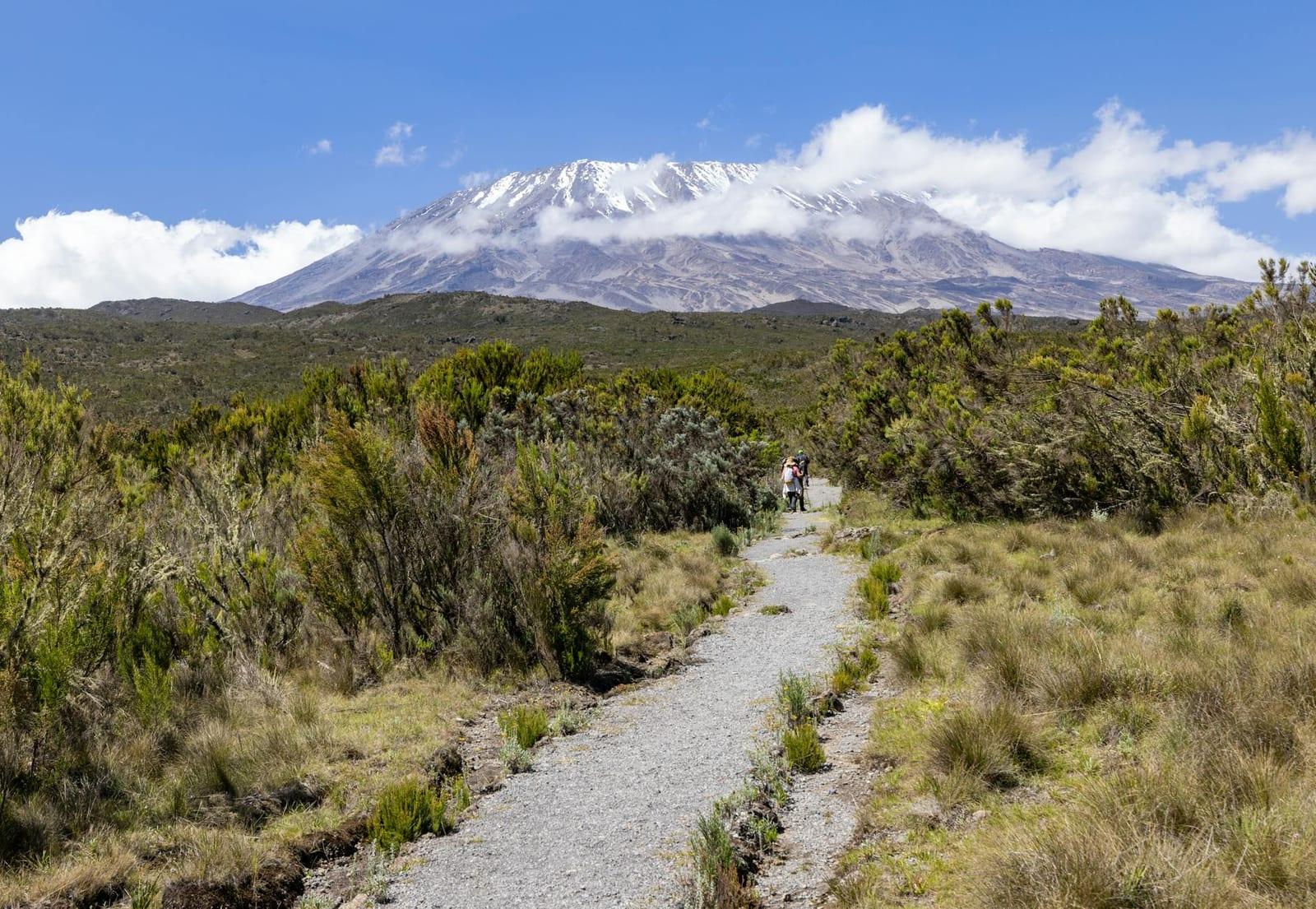 Kilimanjaro icefields, Tanzania