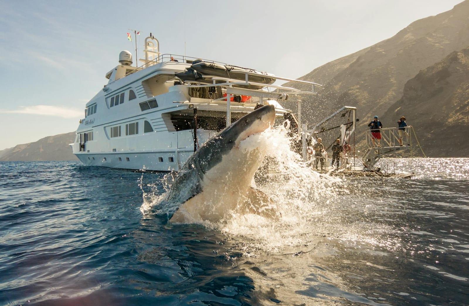 Guadalupe Island, Mexico