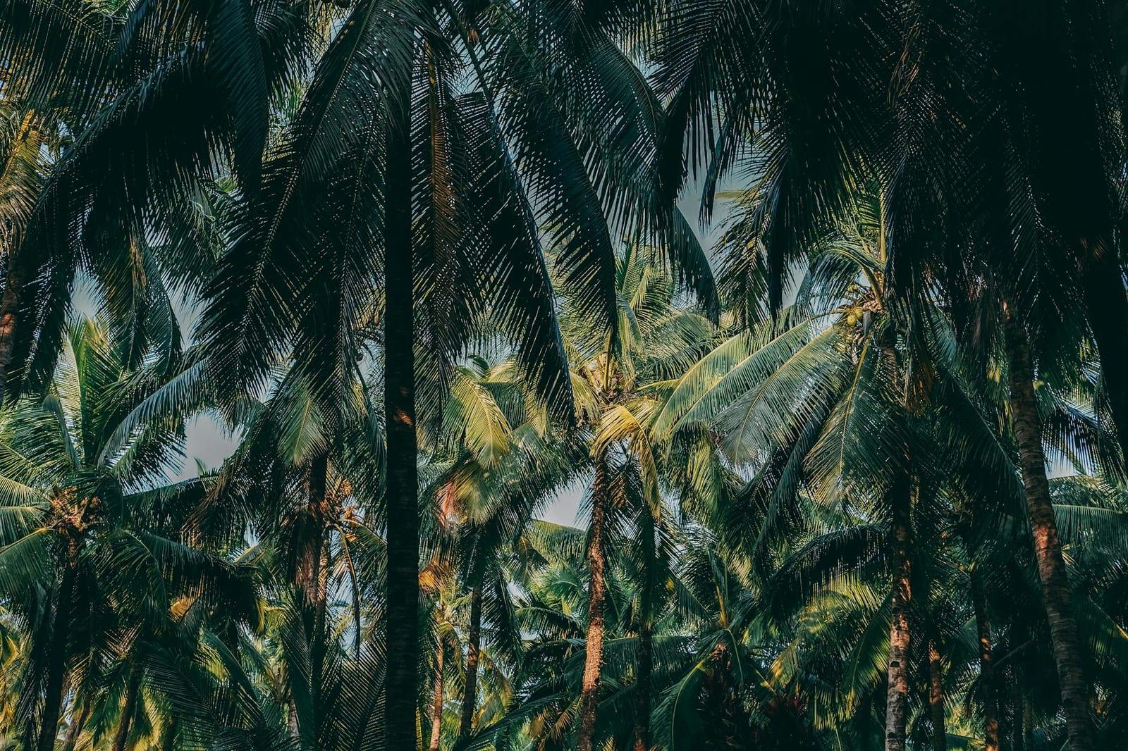 Mentawai Islands, Indonesia