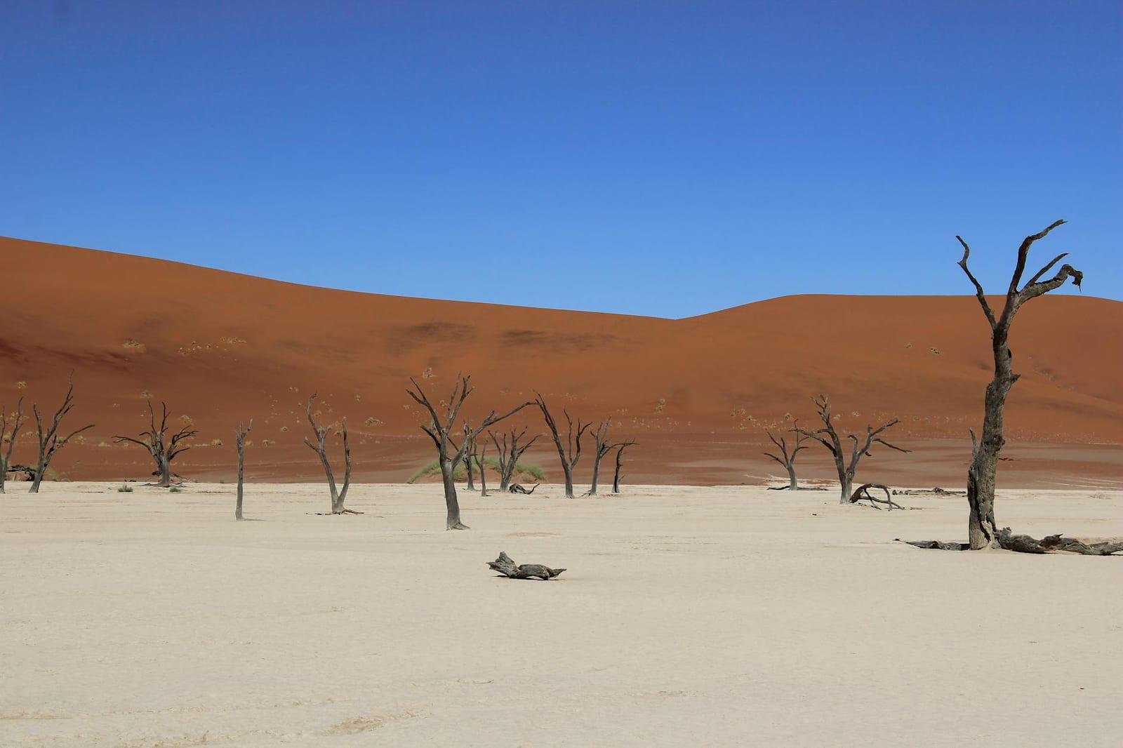 Sossusvlei, Namibia