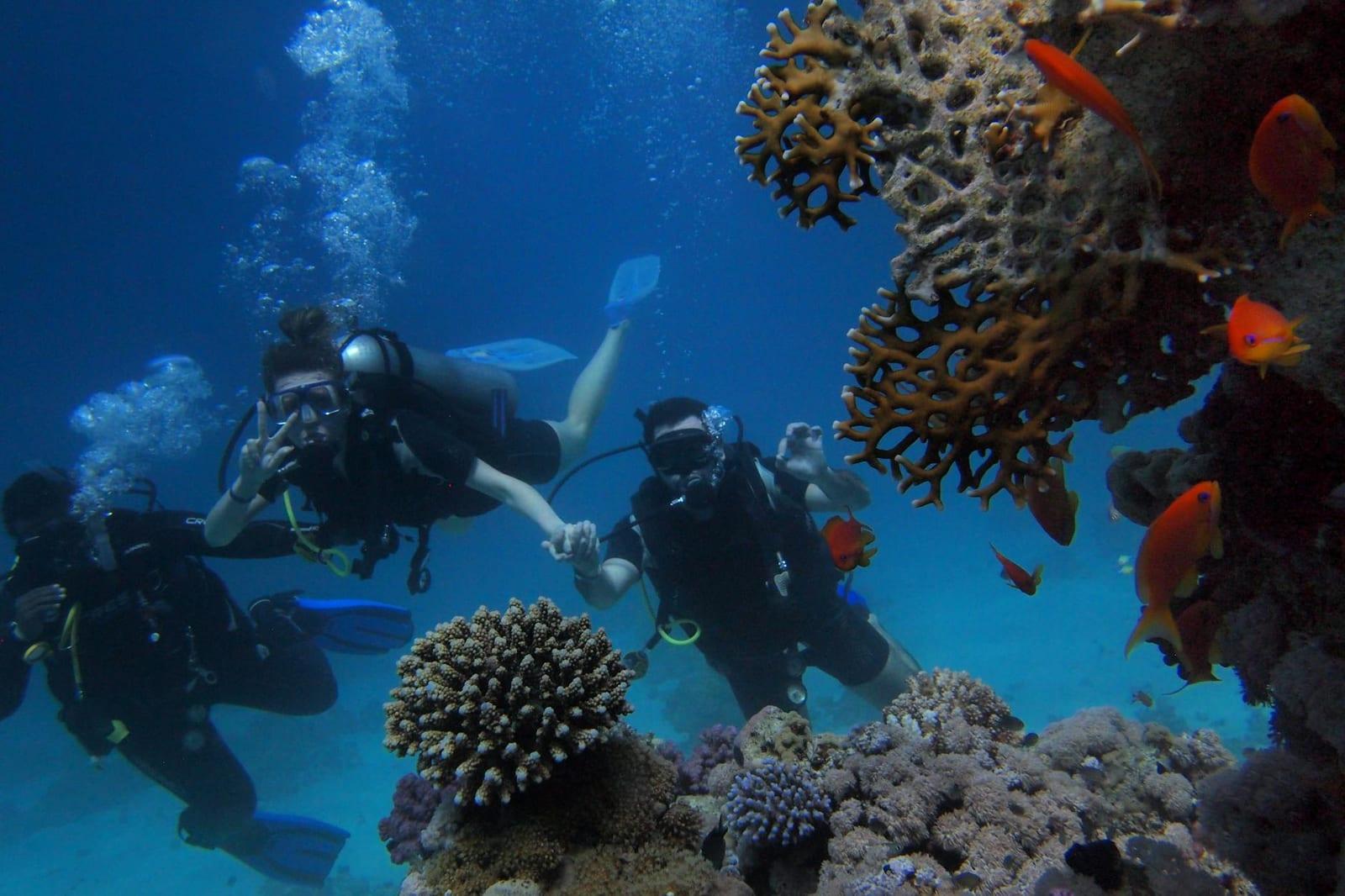 Scuba Dive, Egypt