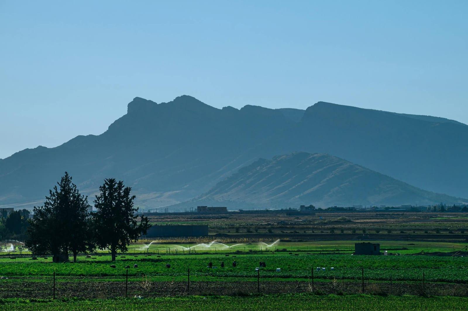 Tipasa, Algeria