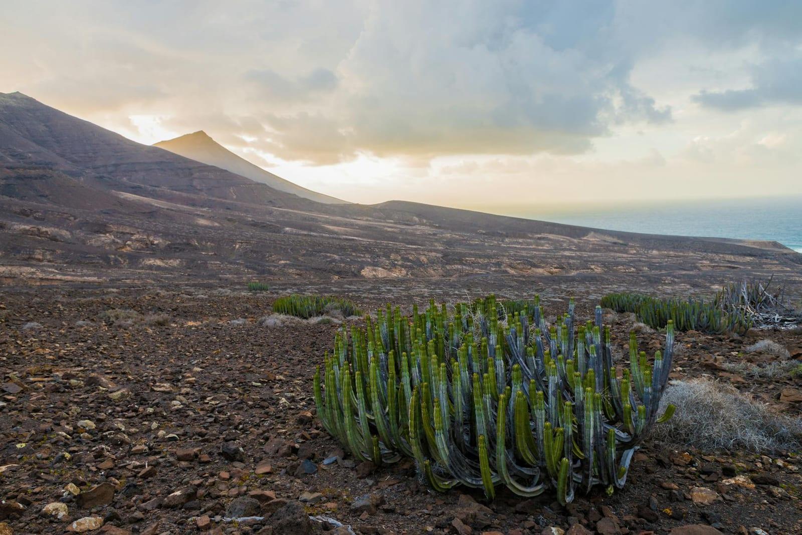 Boa Vista, Cape Verde