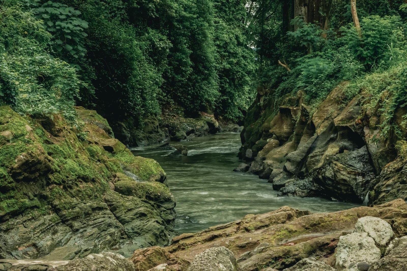 Monte Alen National Park, Equatorial Guinea