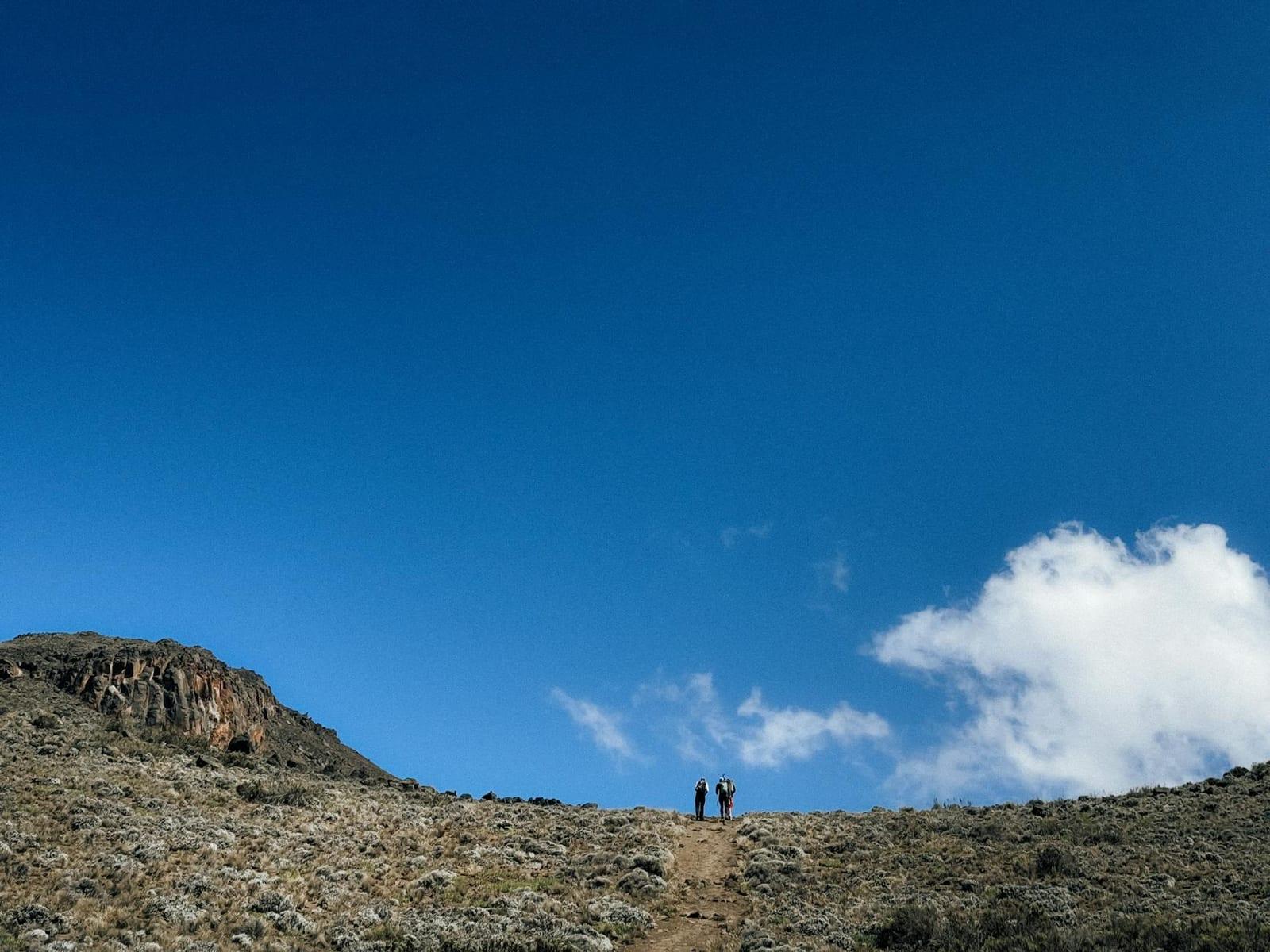 Bale Mountains National Park, Ethiopia