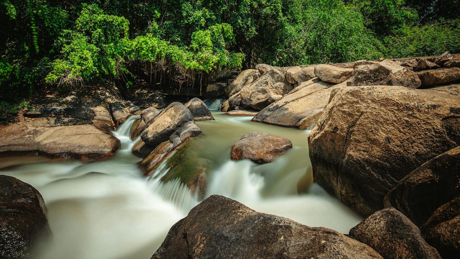 Minkebe National Park, Gabon