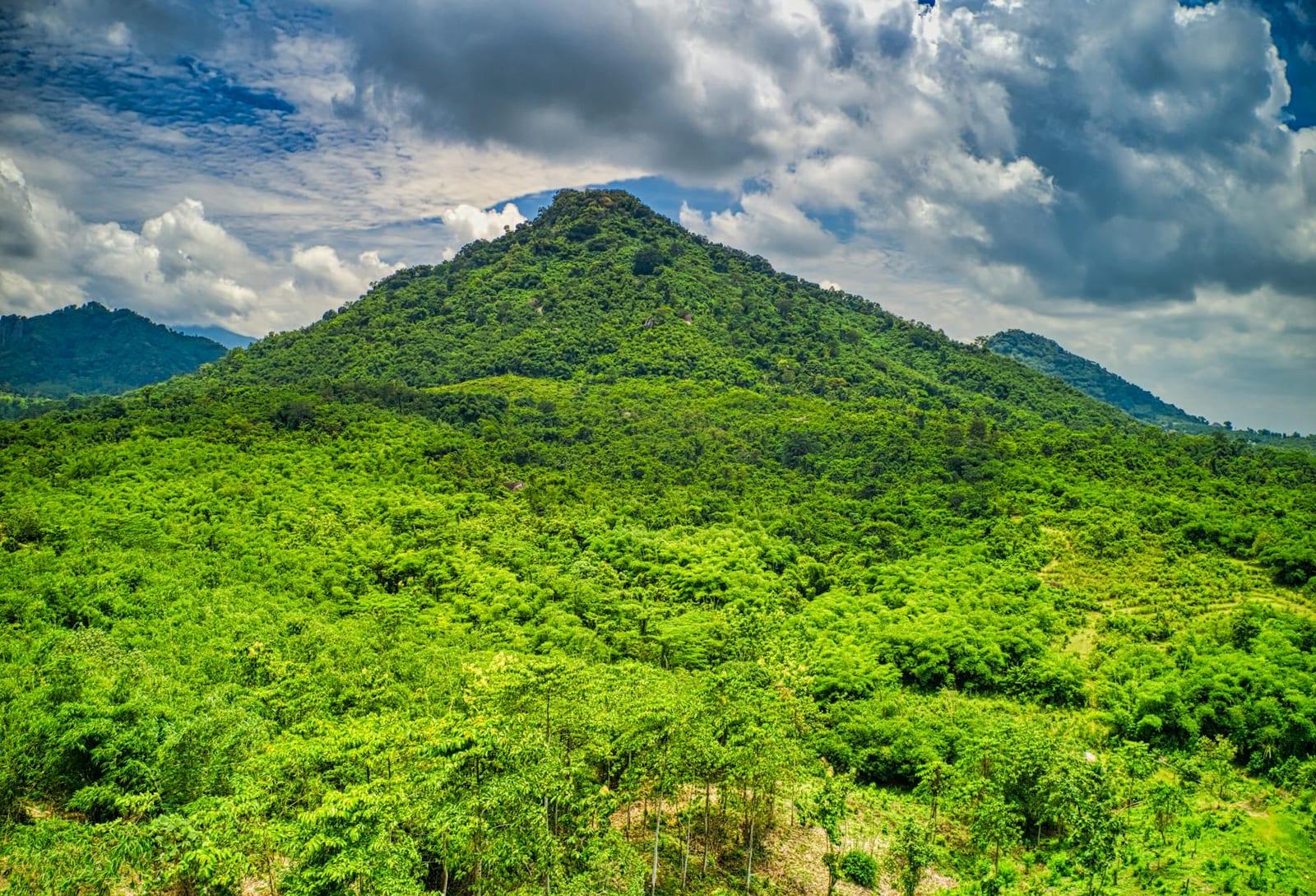 Mount Nimba Strict Nature Reserve, Guinea-Bissau