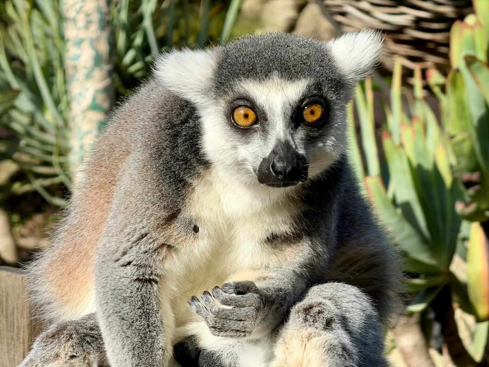 Isalo National Park, Madagascar