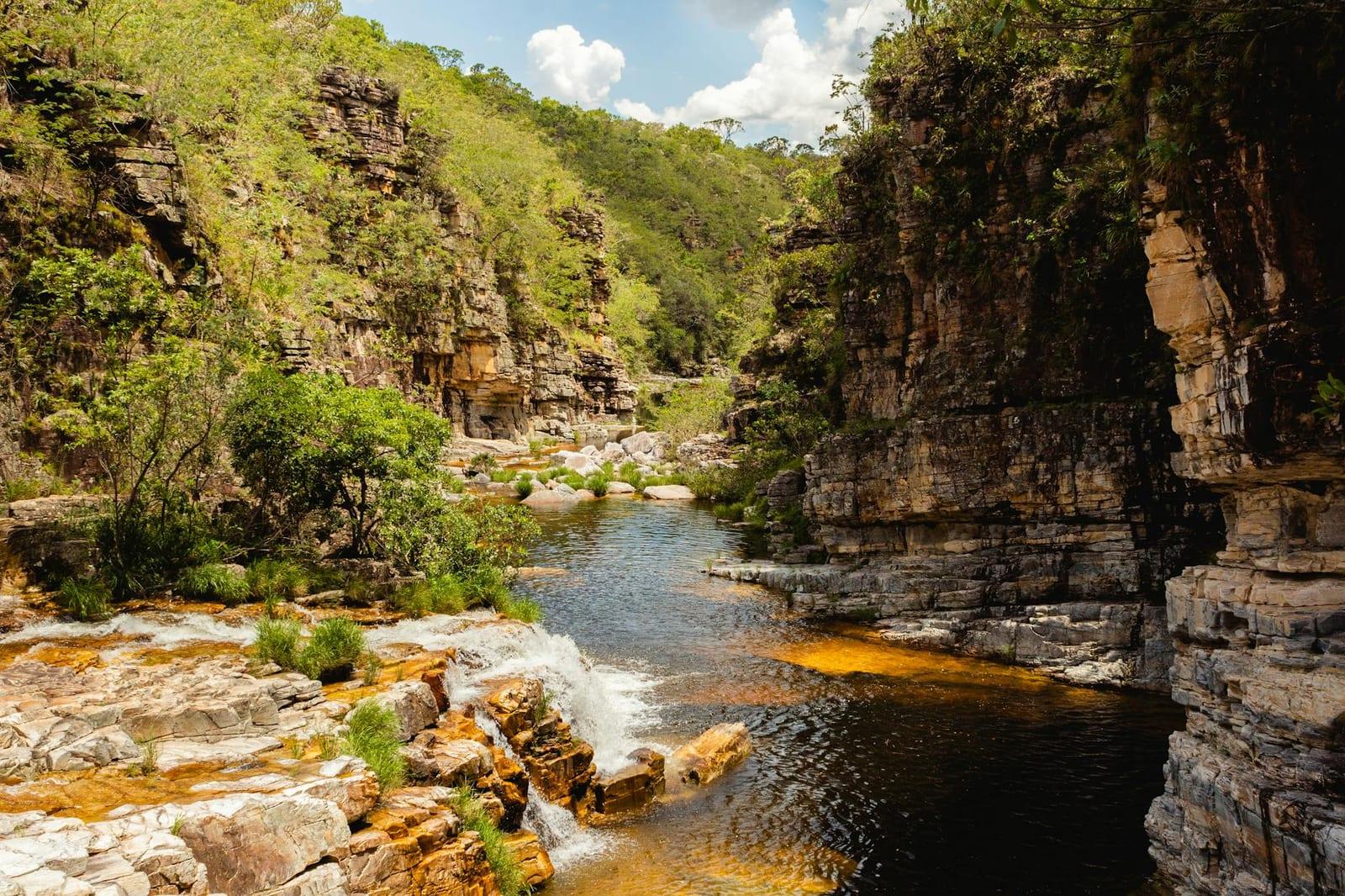 Black River Gorges National Park, Mauritius