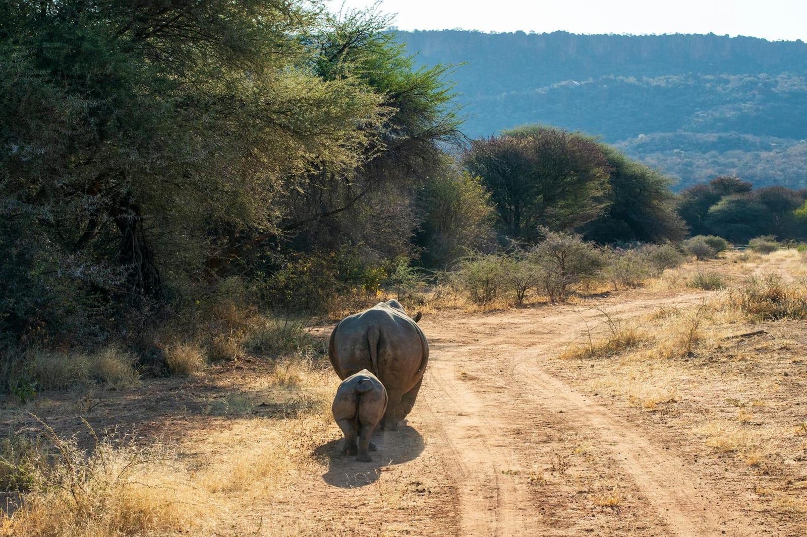 Waterberg Plateau, Namibia