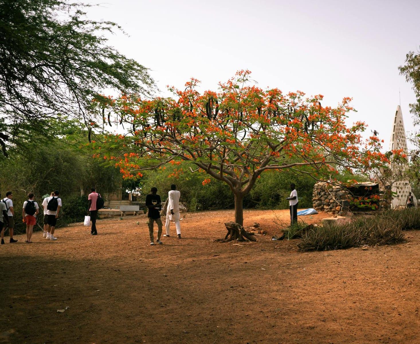 Niokolo-Koba National Park, Senegal