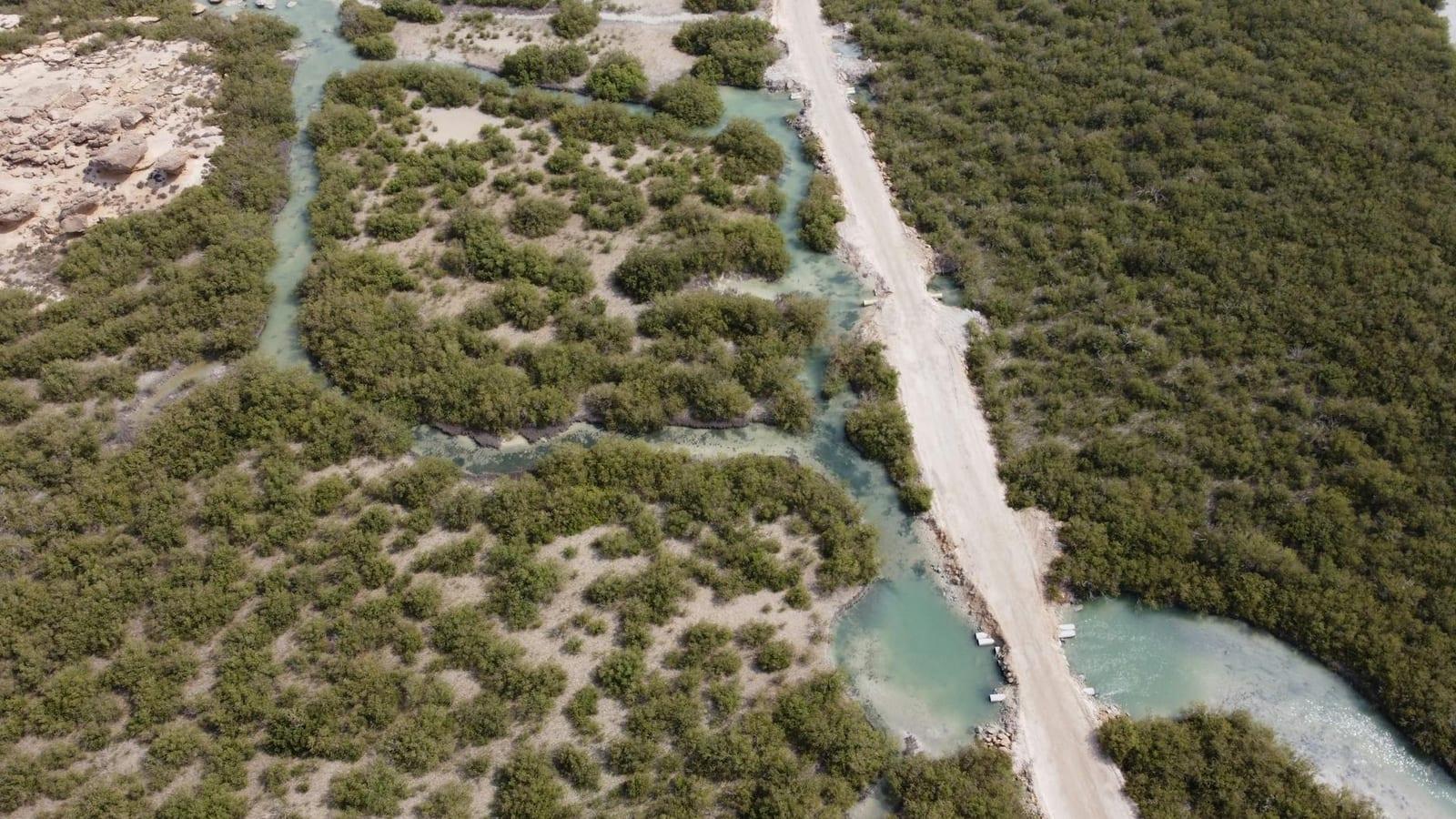 Kismayo National Park, Somalia