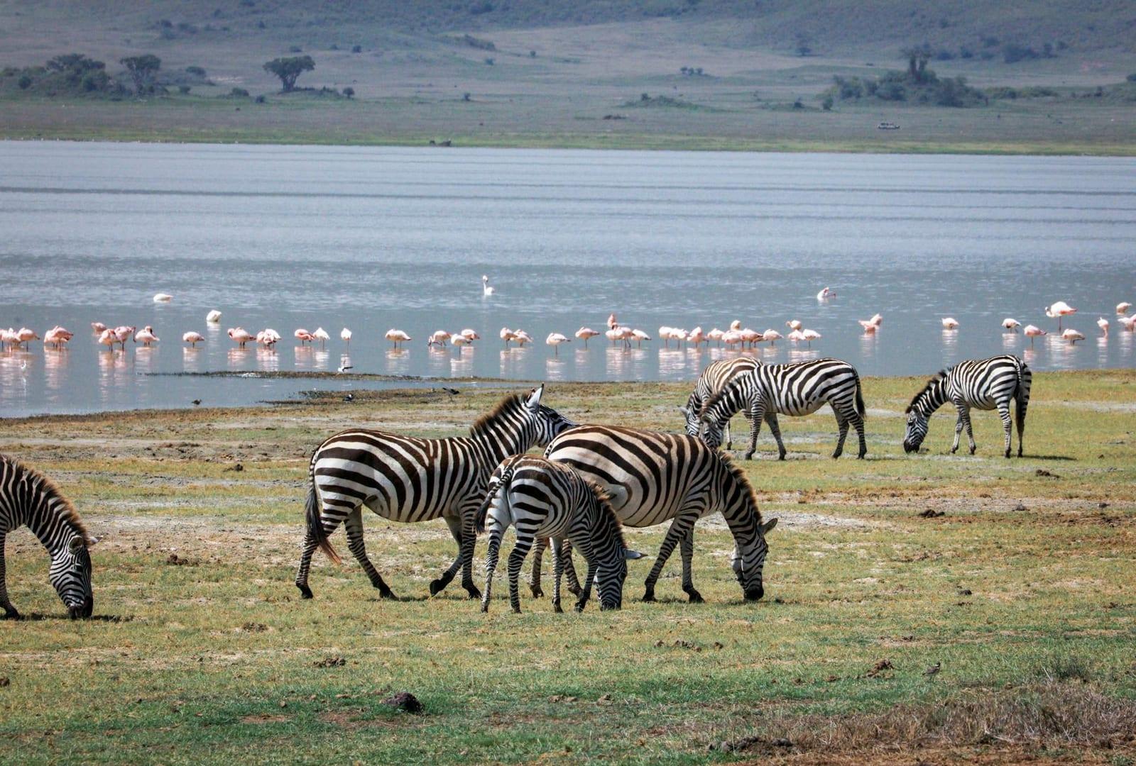 Lake Manyara National Park, Tanzania