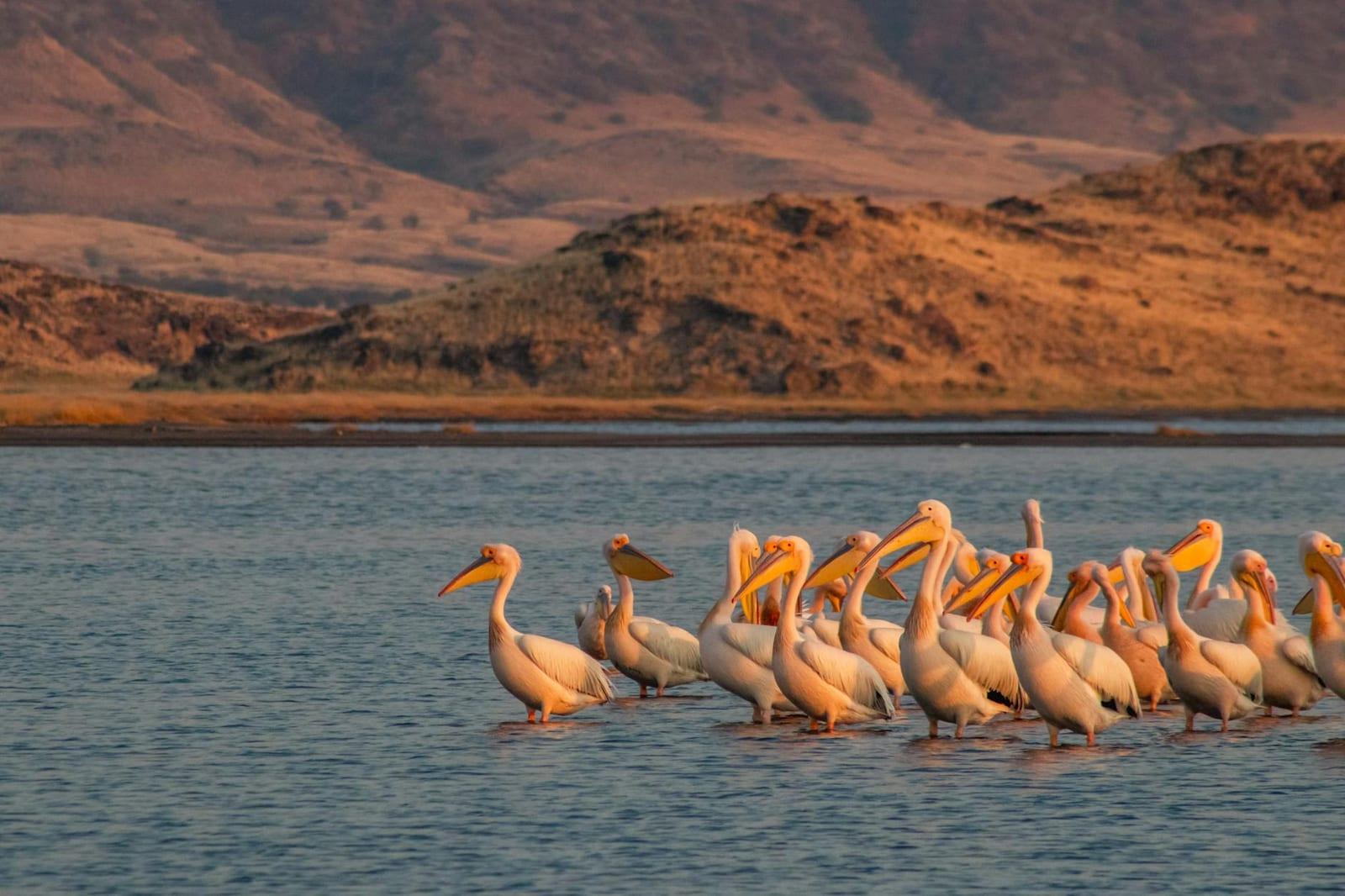 Lake Natron, Tanzania