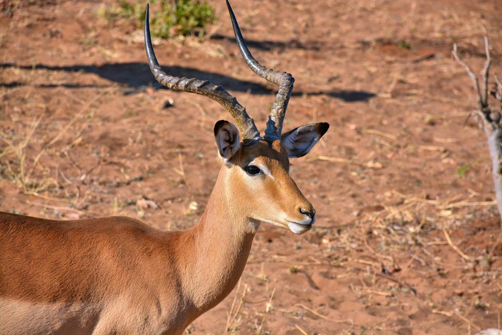 Matobo National Park, Zimbabwe