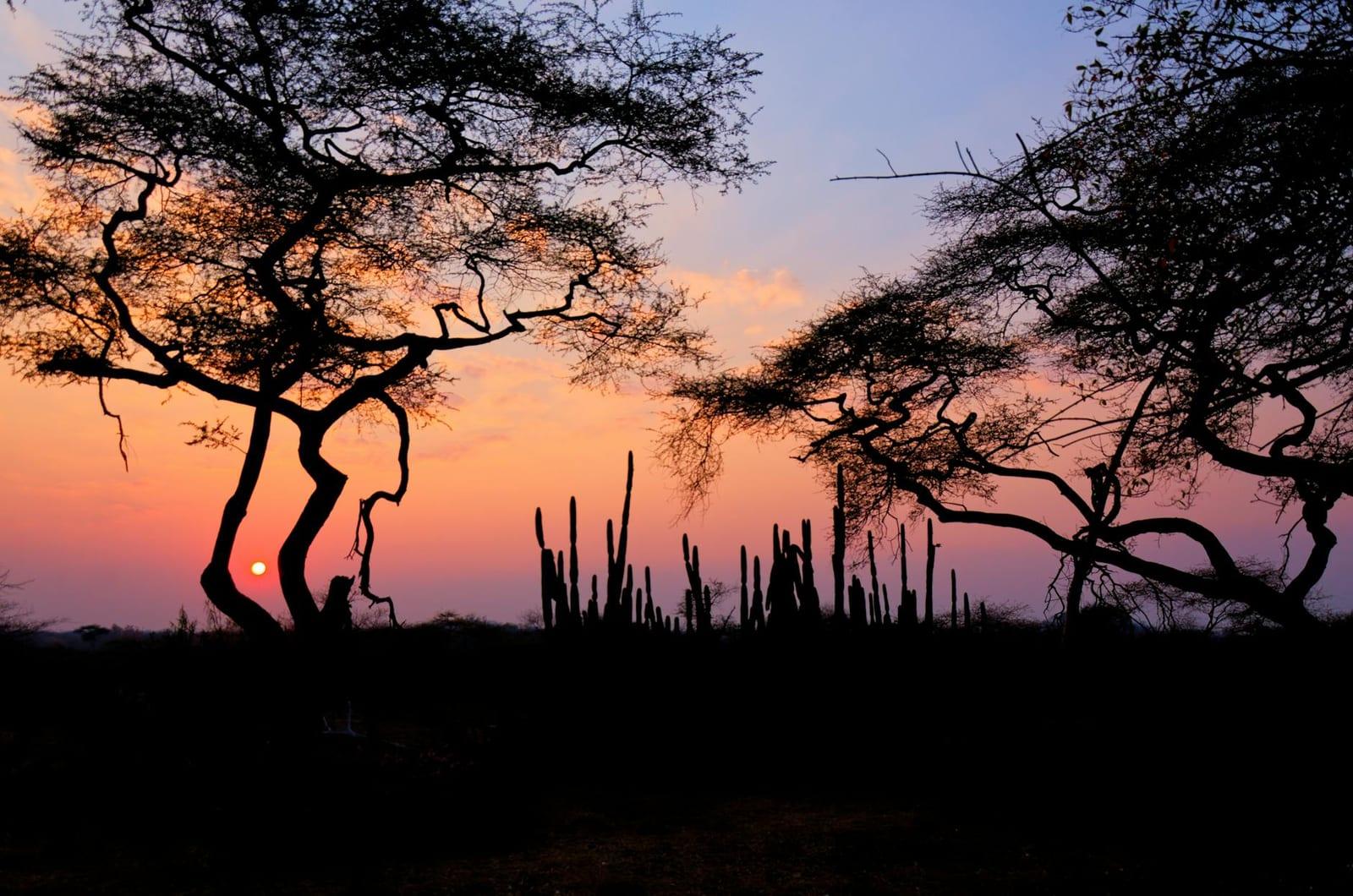 Ewanrigg Botanical Garden, Zimbabwe