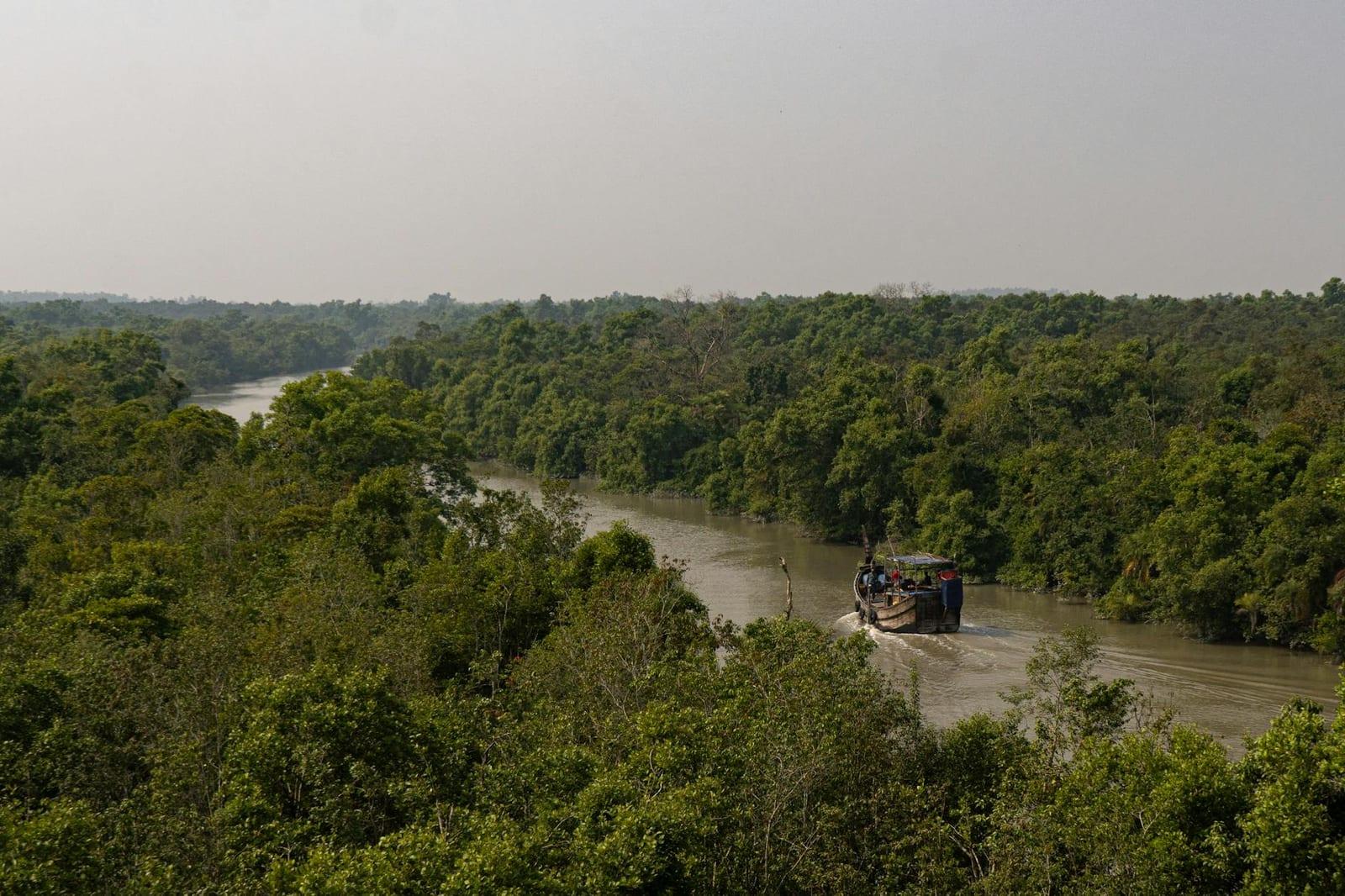 The Sundarbans, Bangladesh