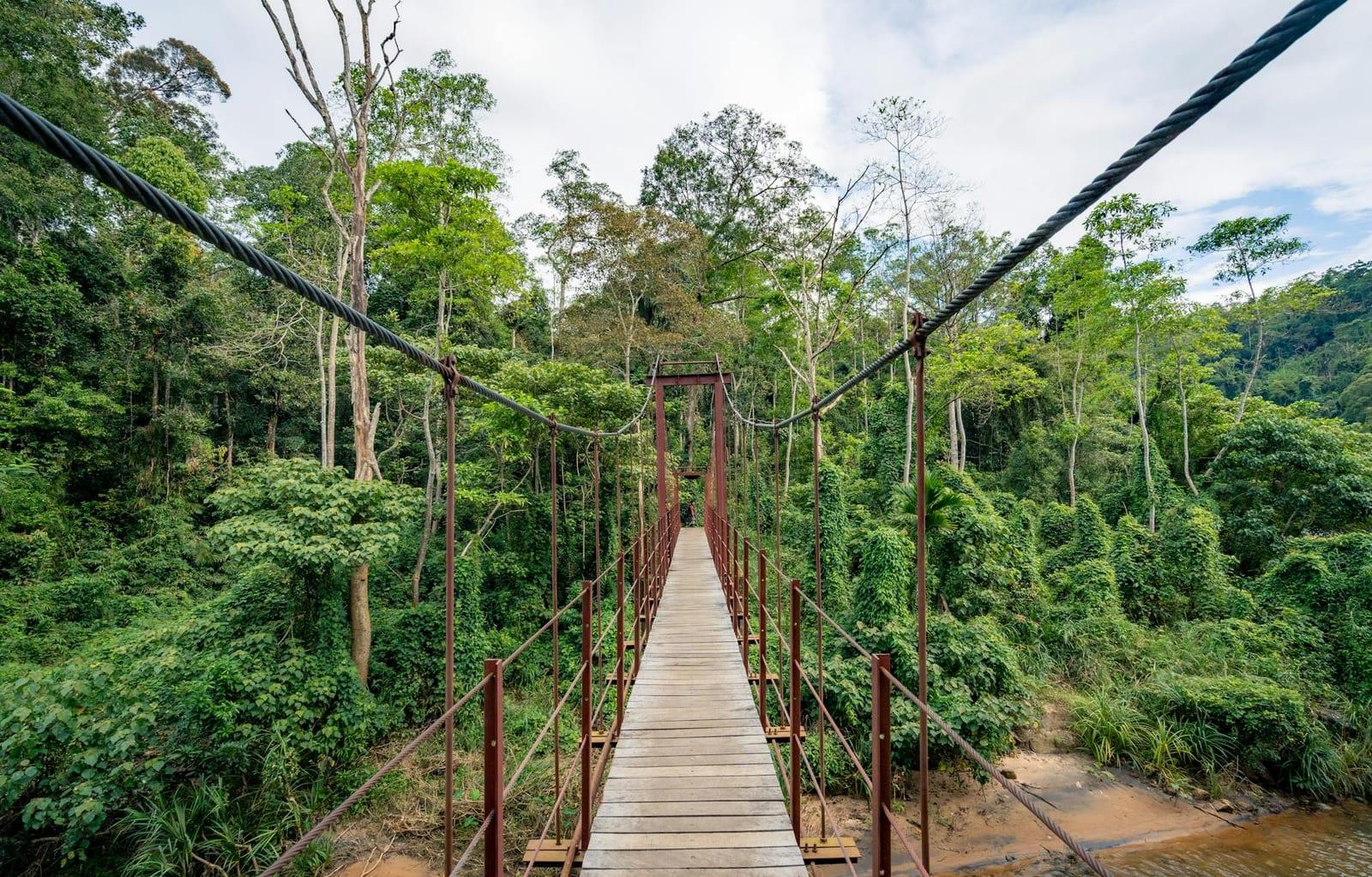 Ulu Temburong National Park, Brunei