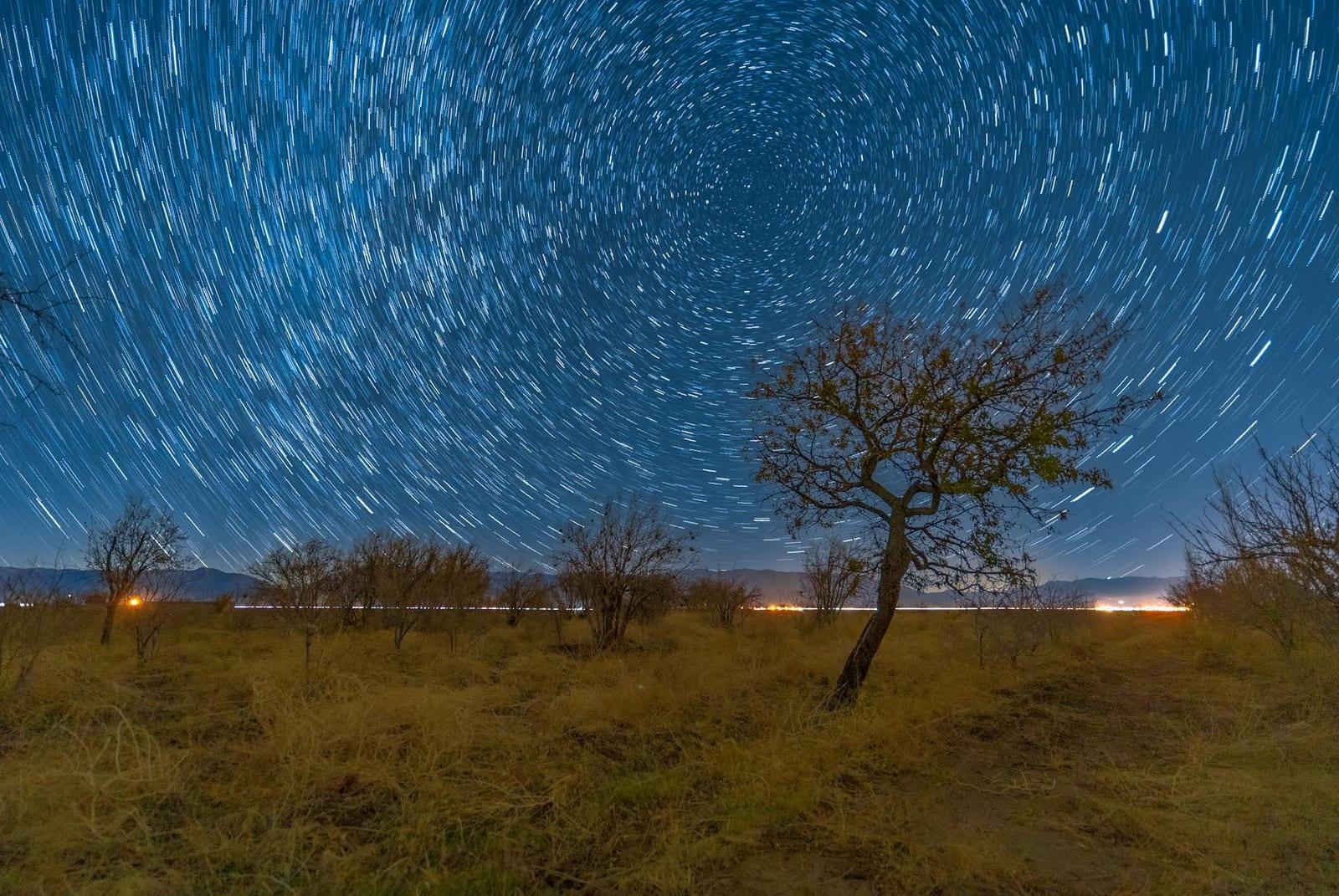 Khar Turan National Park, Iran