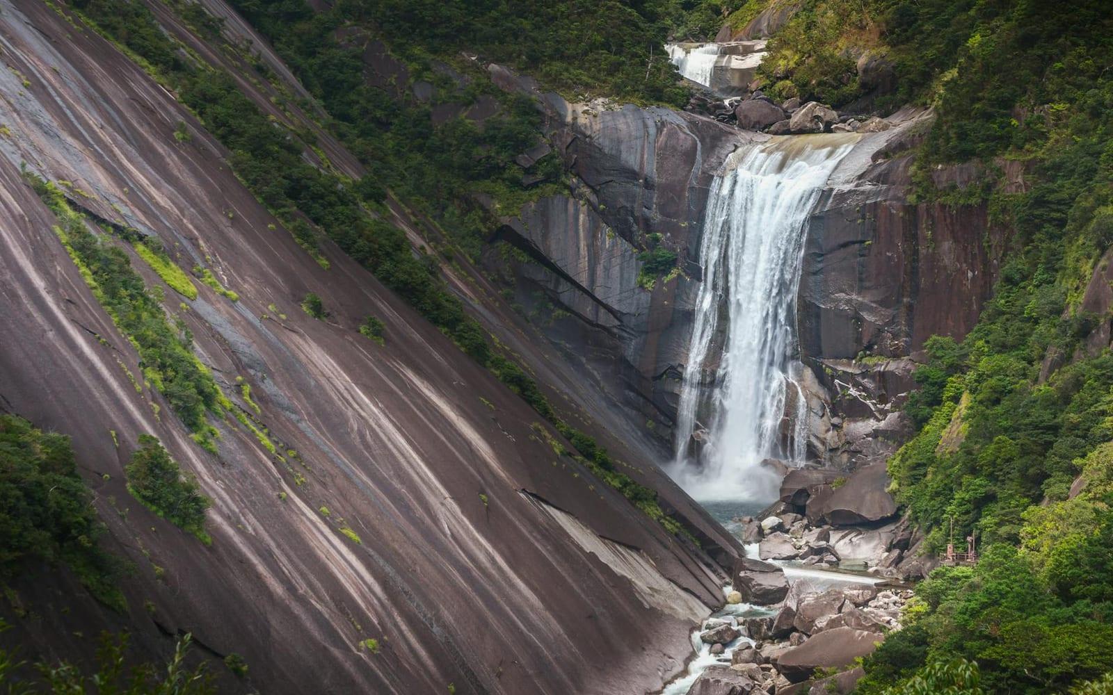 Yakushima, Japan