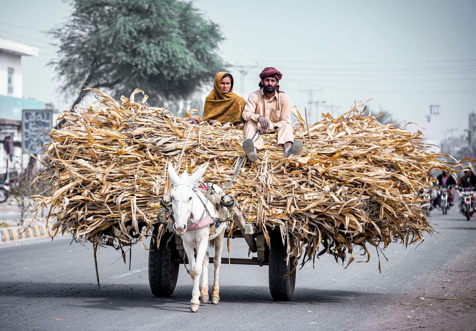 Moenjodaro, Pakistan