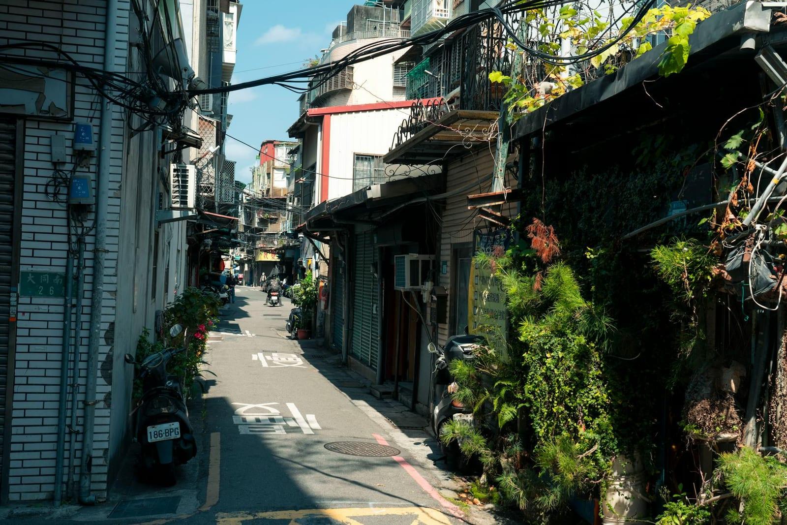 Snake Alley (Huaxi Night Market), Taiwan