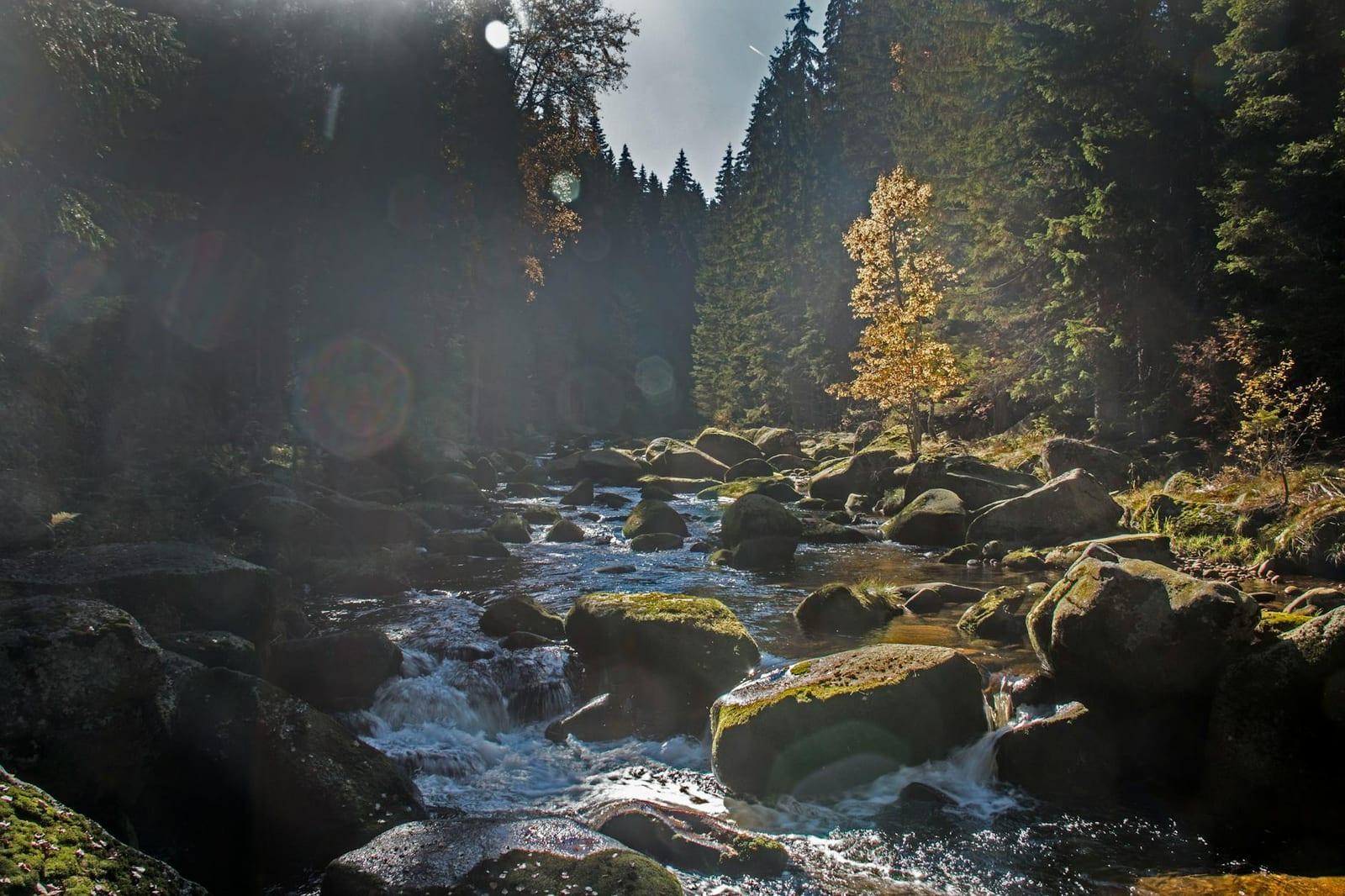Sumava National Park, Czechia