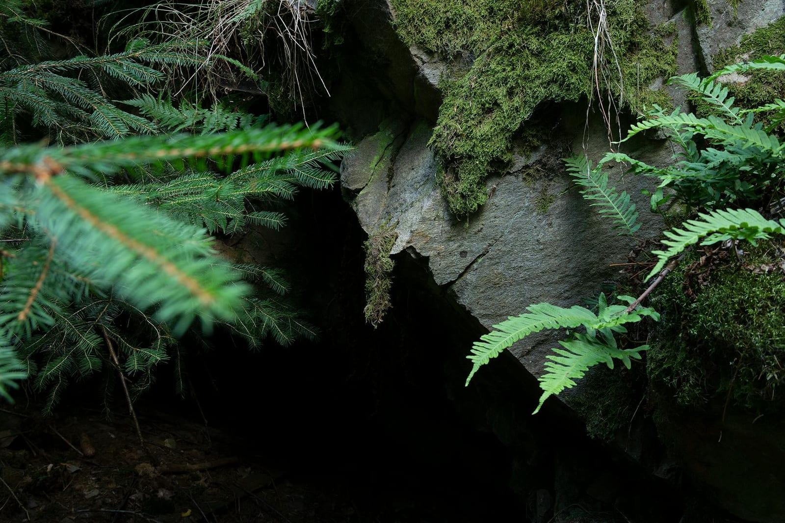 Punkva Caves and Macocha Abyss, Czechia