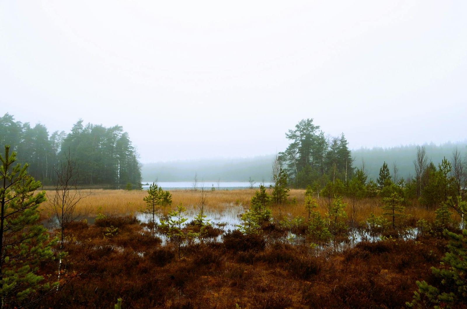Lemmenjoki National Park, Finland