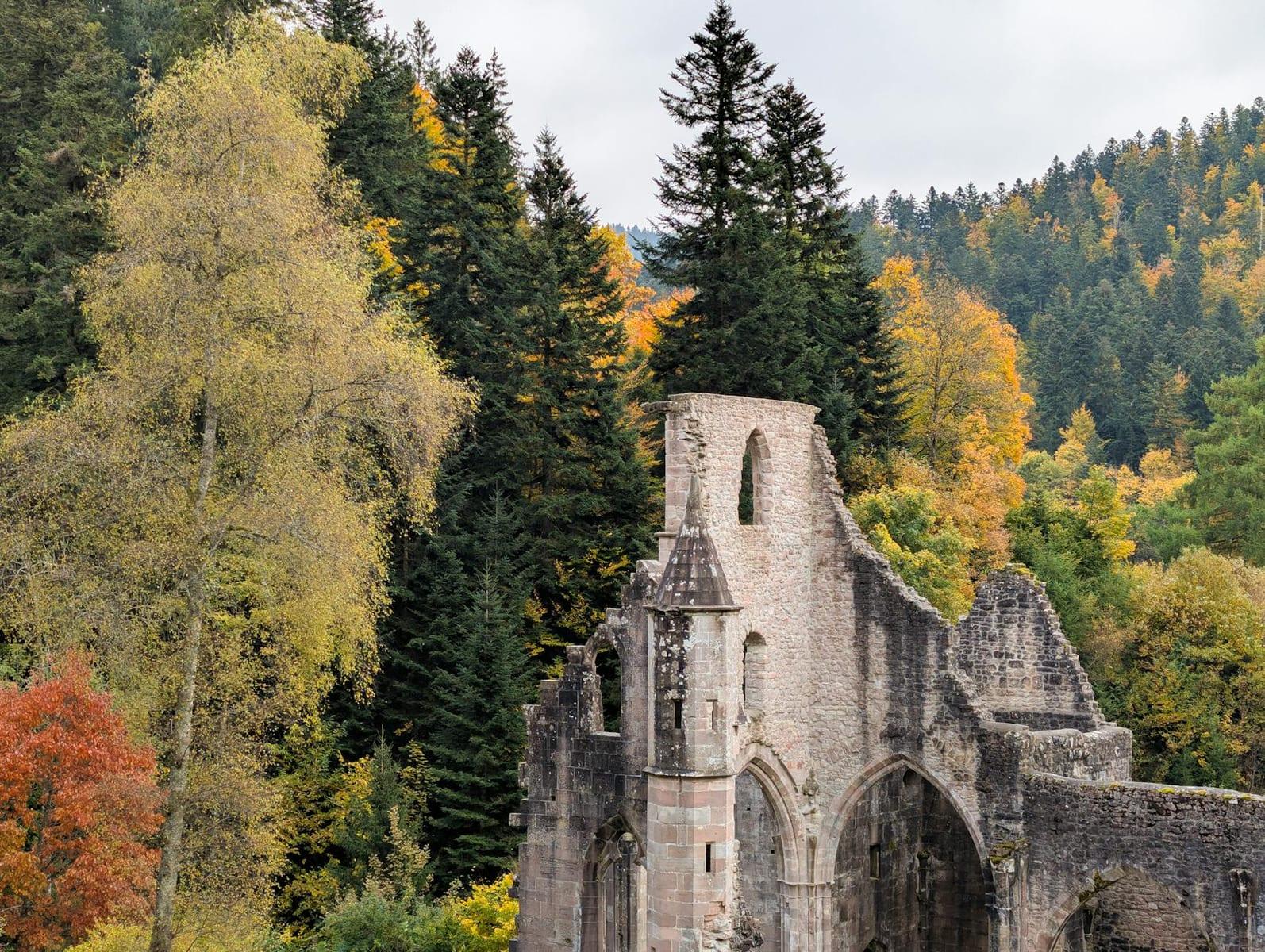 Schwarzwald, Germany