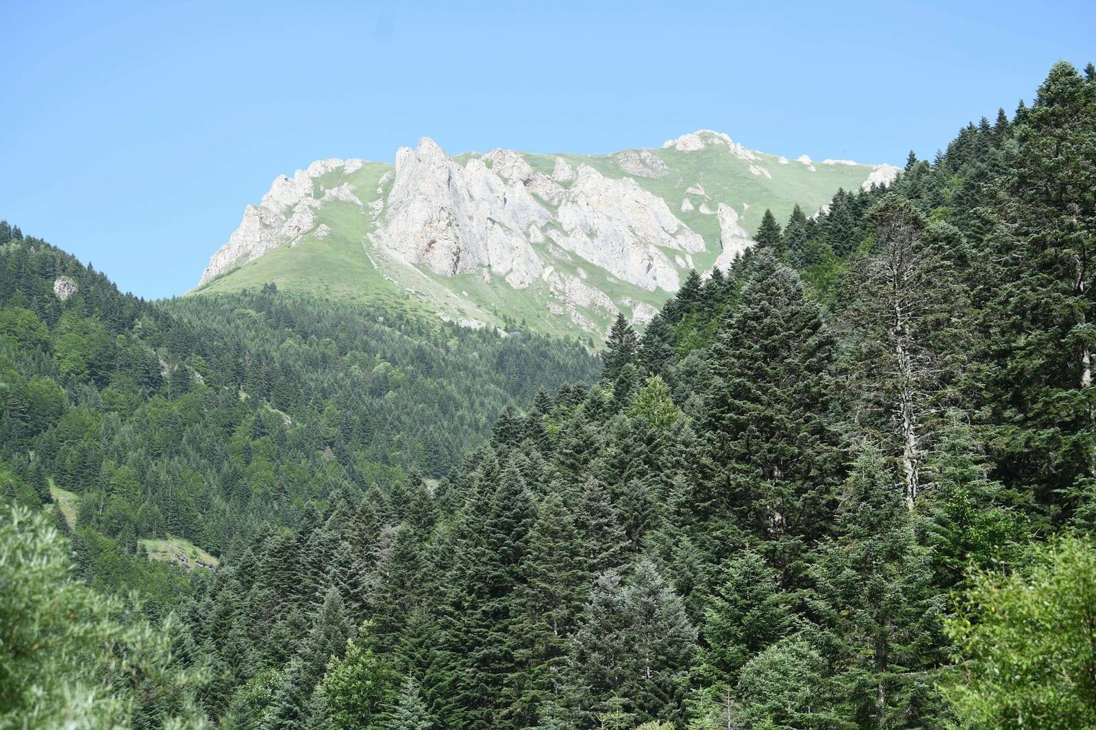 Pelister National Park, North Macedonia