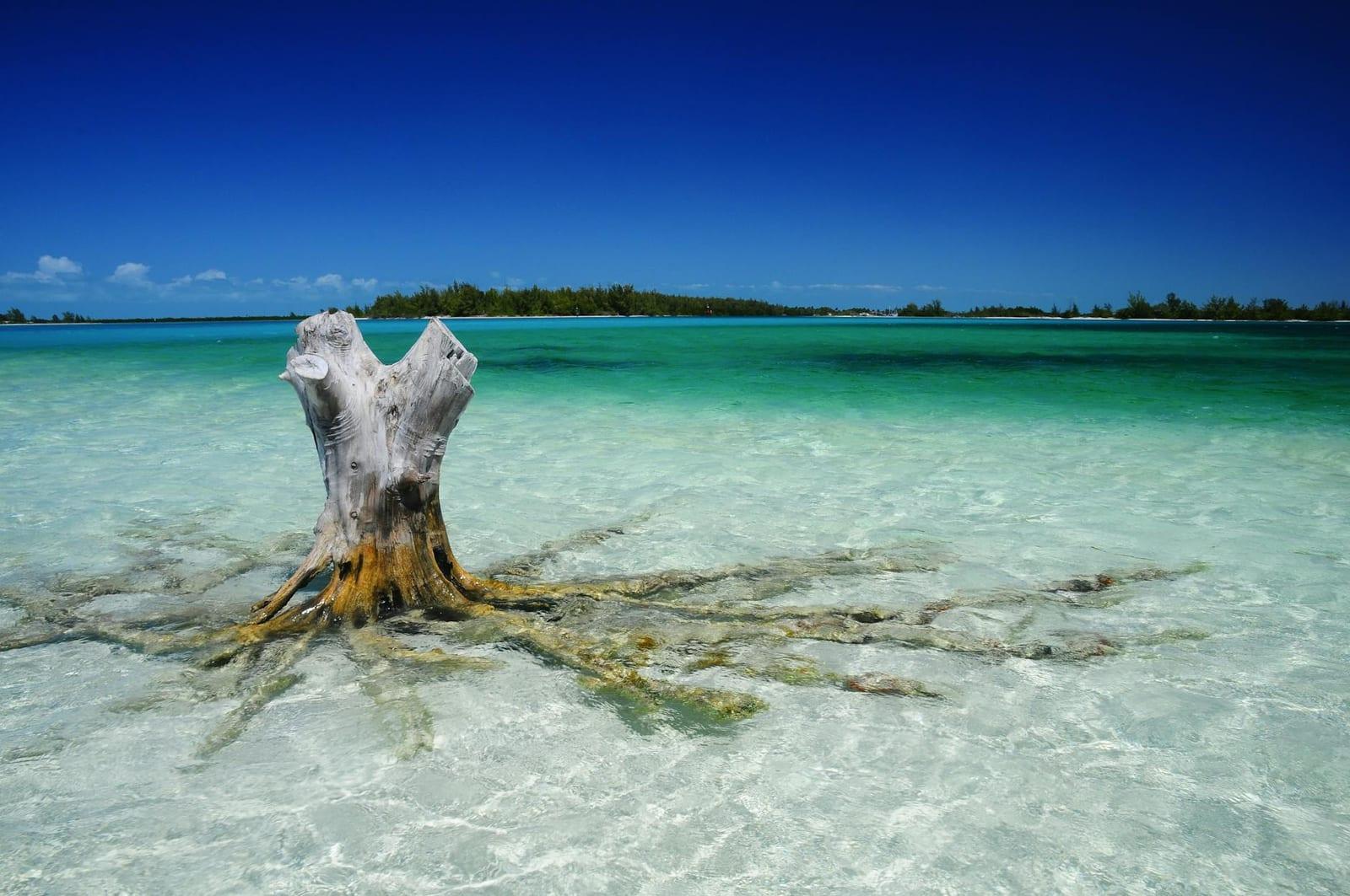 Inagua National Park, Bahamas
