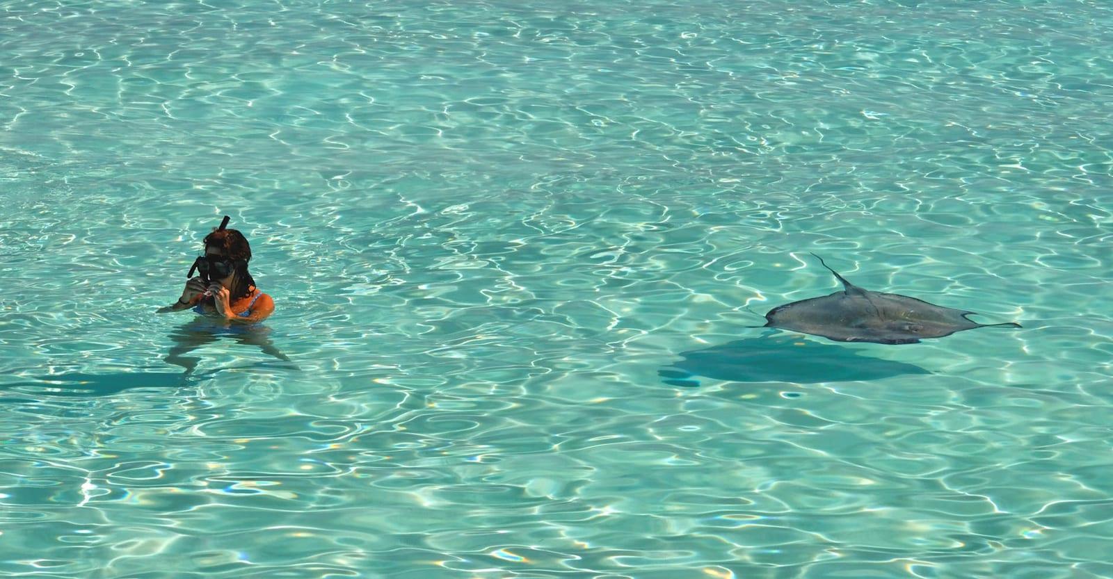 Stingray City, Cayman Islands