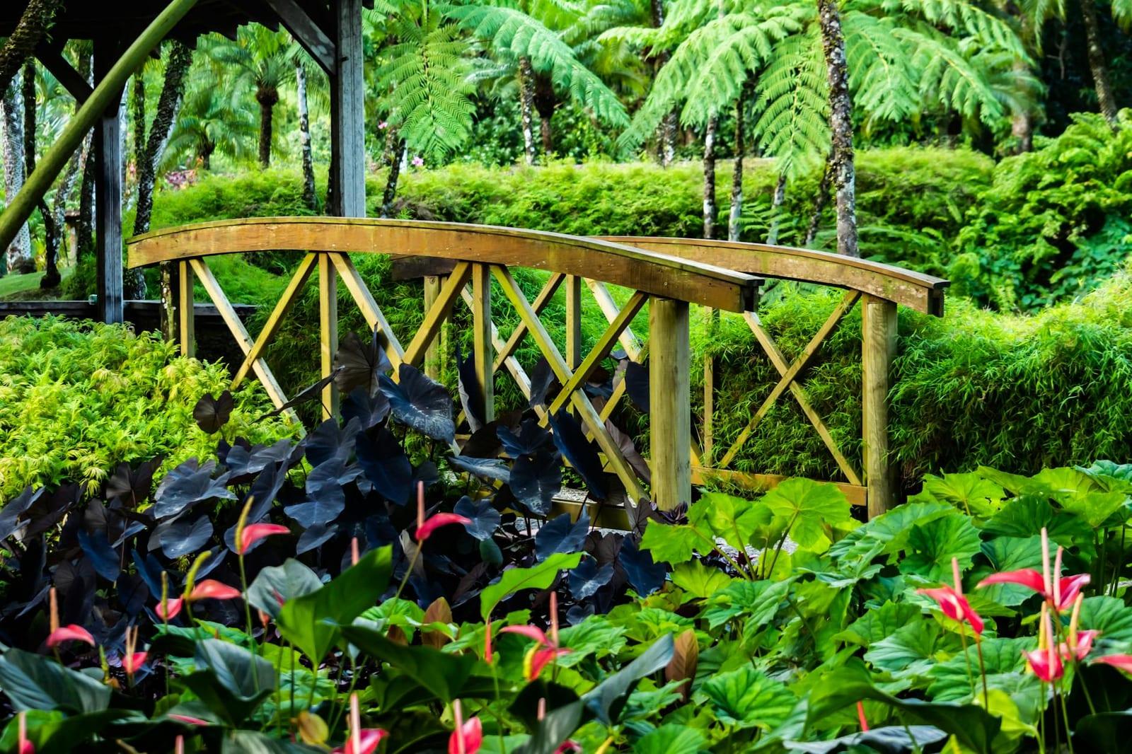 Dominica Botanical Gardens, Dominica