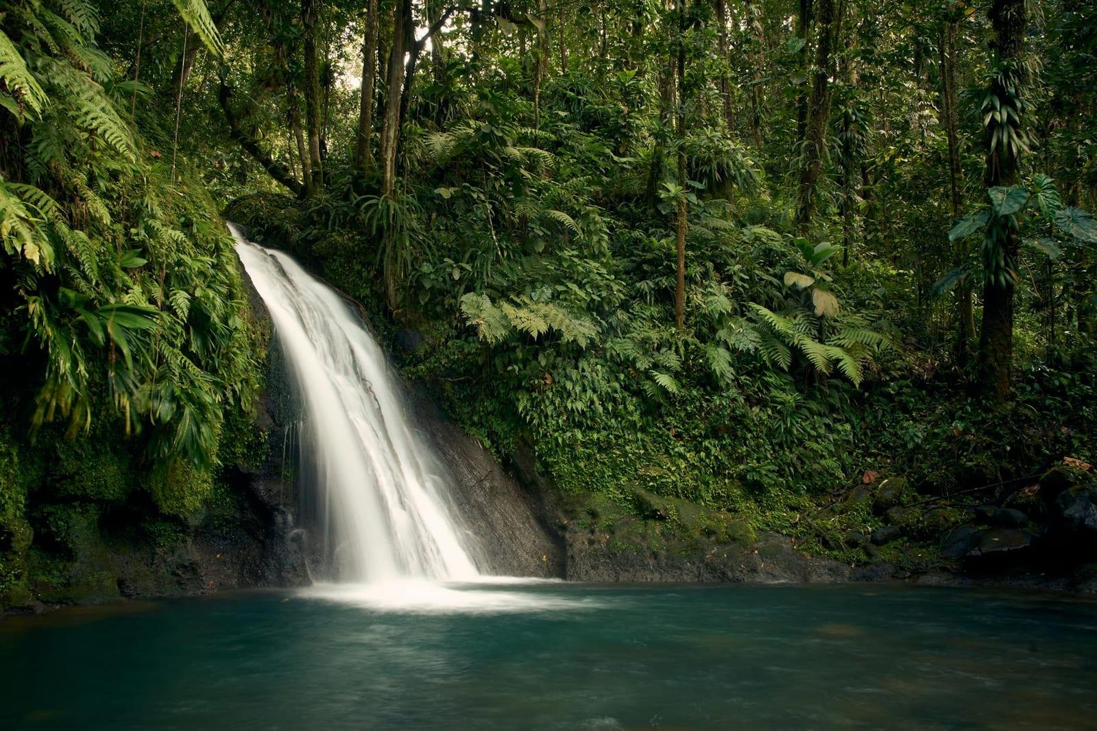 Carbet Falls, Guadeloupe