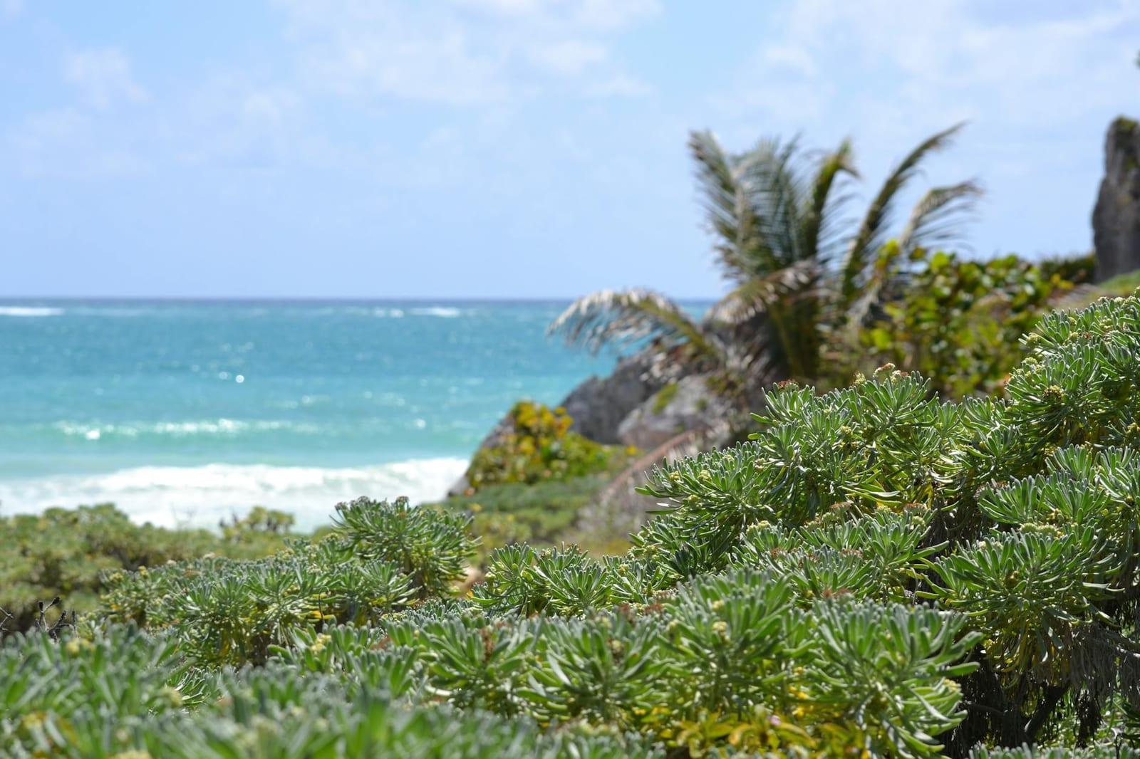 Tulum, Mexico