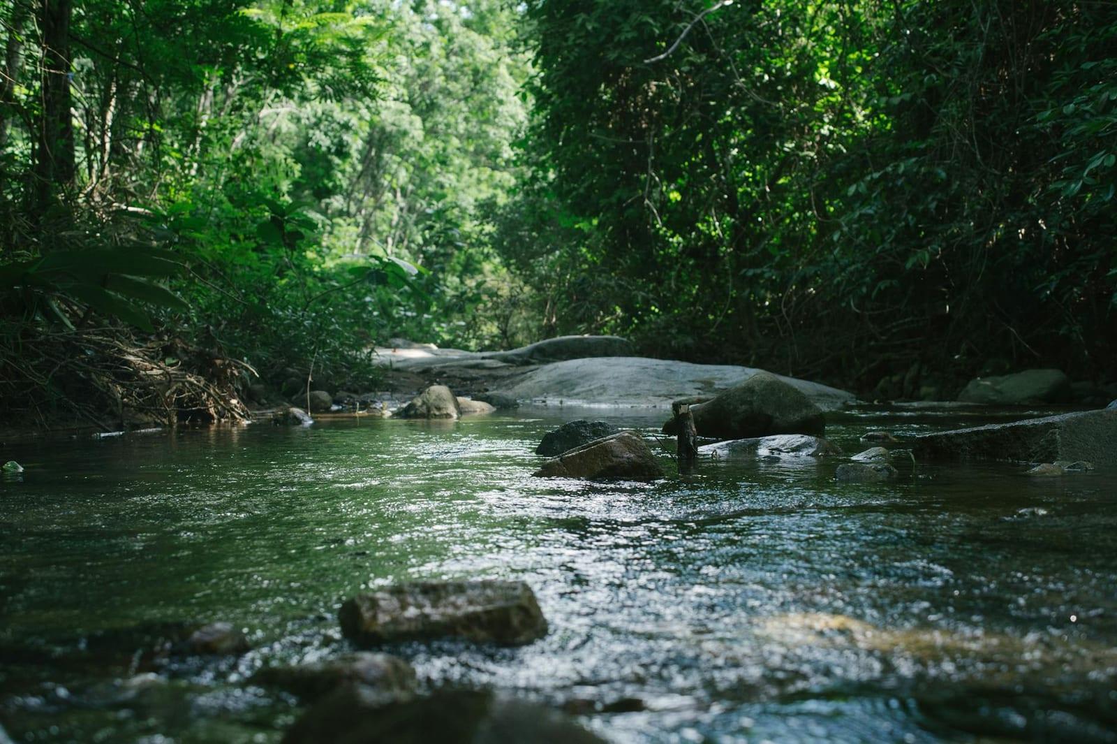 Darien Gap, Panama