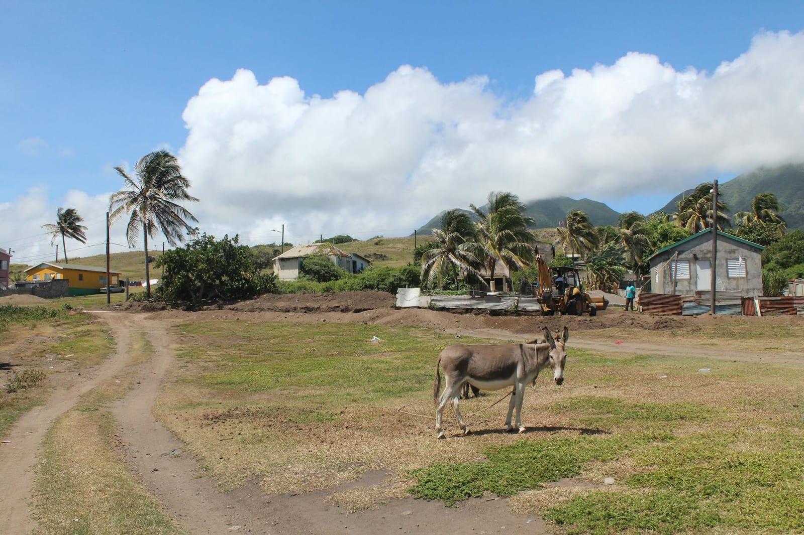 Carib Petroglyphs at Wingfield Manor Estate, Saint Kitts & Nevis